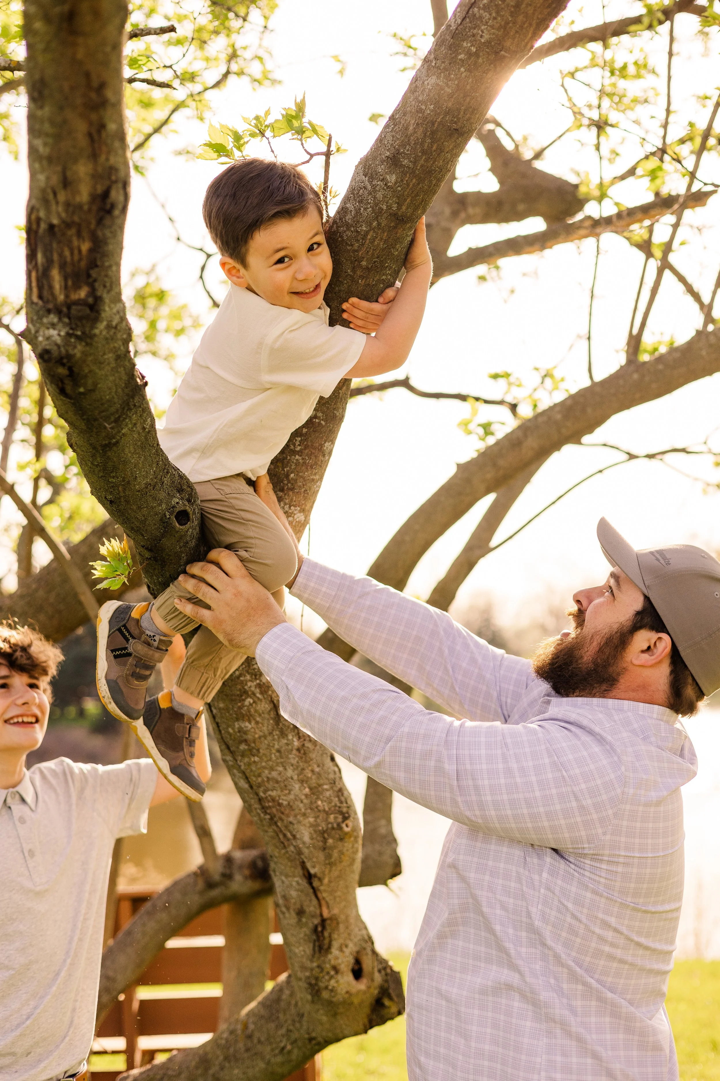 boy on tree dad watching him joyfully hinsdale il
