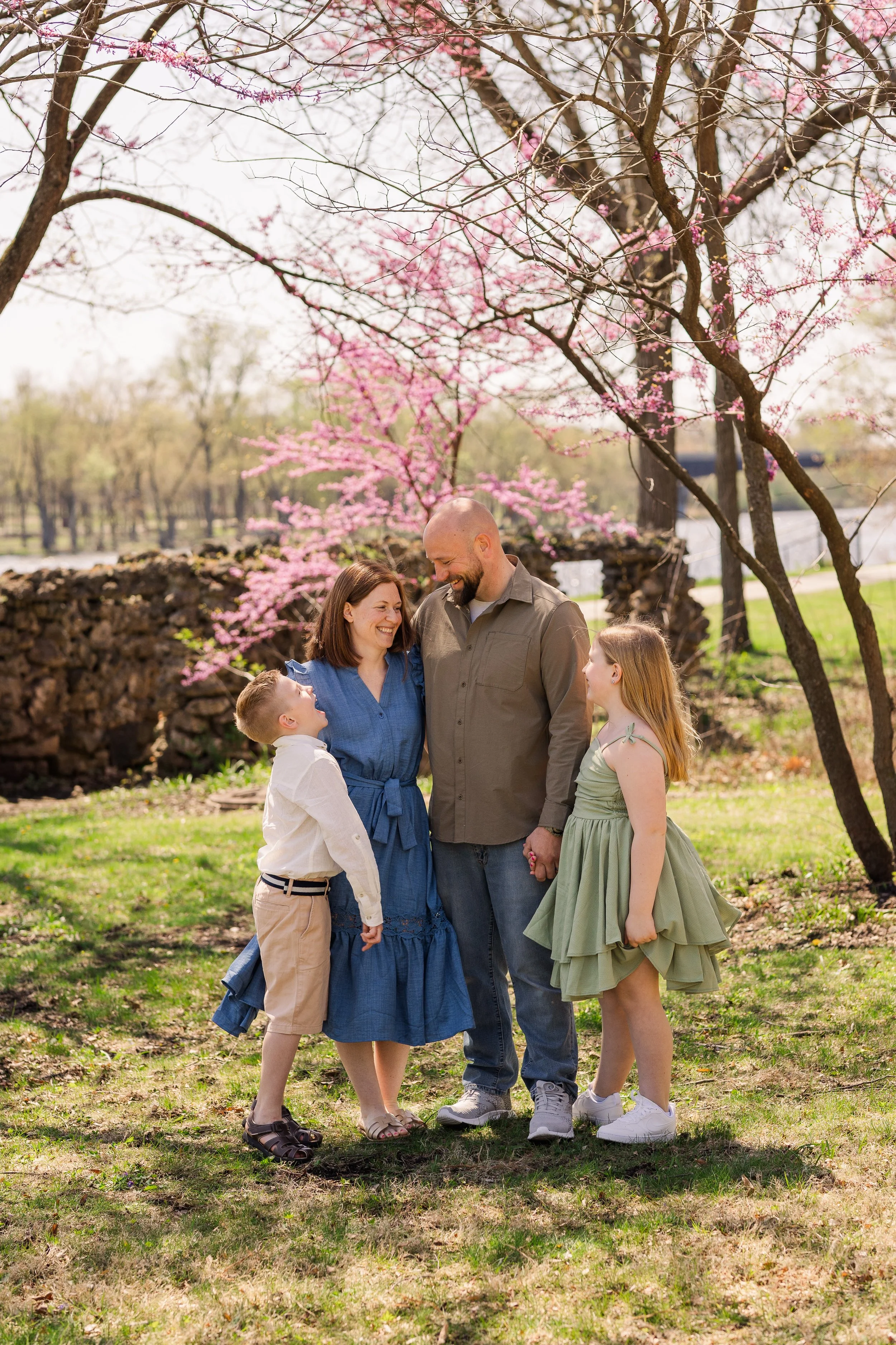 A family of four, including a mother, father, young son, and daughter, stands outdoors under blooming pink trees on a sunny spring day. They are smiling and holding hands, with a stone wall and trees in the background.