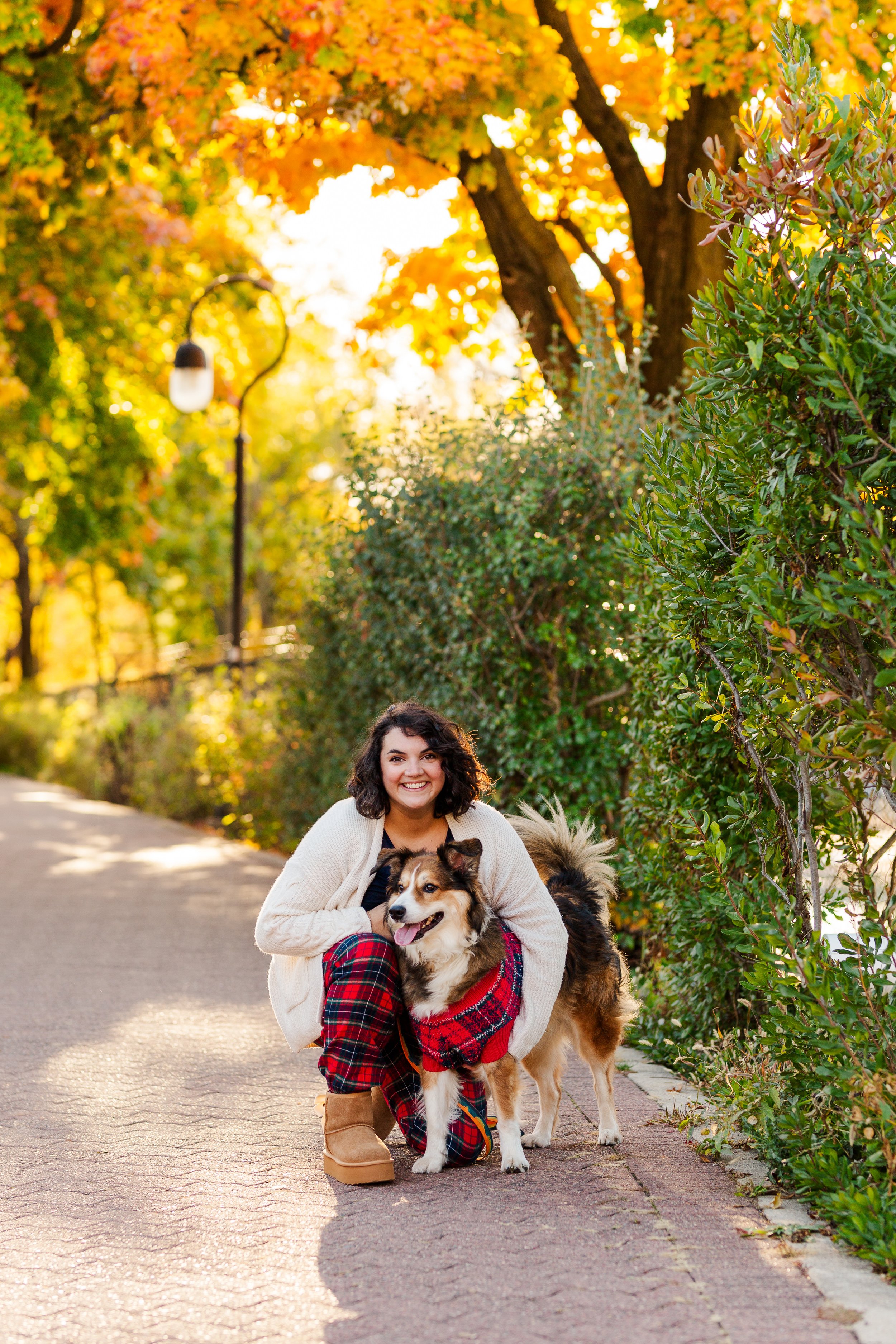 woman and dog in photograph during sunset