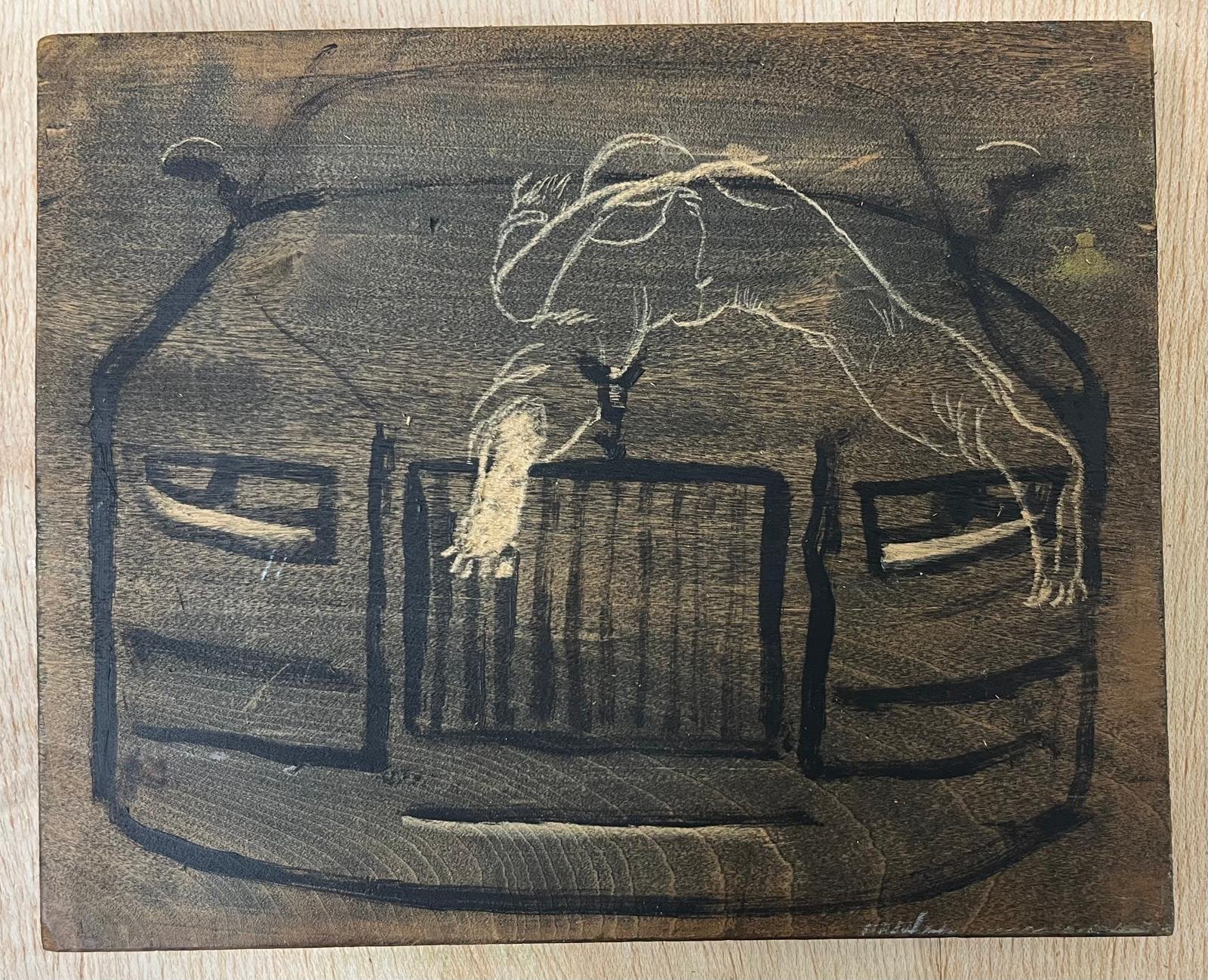 WhatsApp Image 2026-02-03 at 11.55.46.jpeg