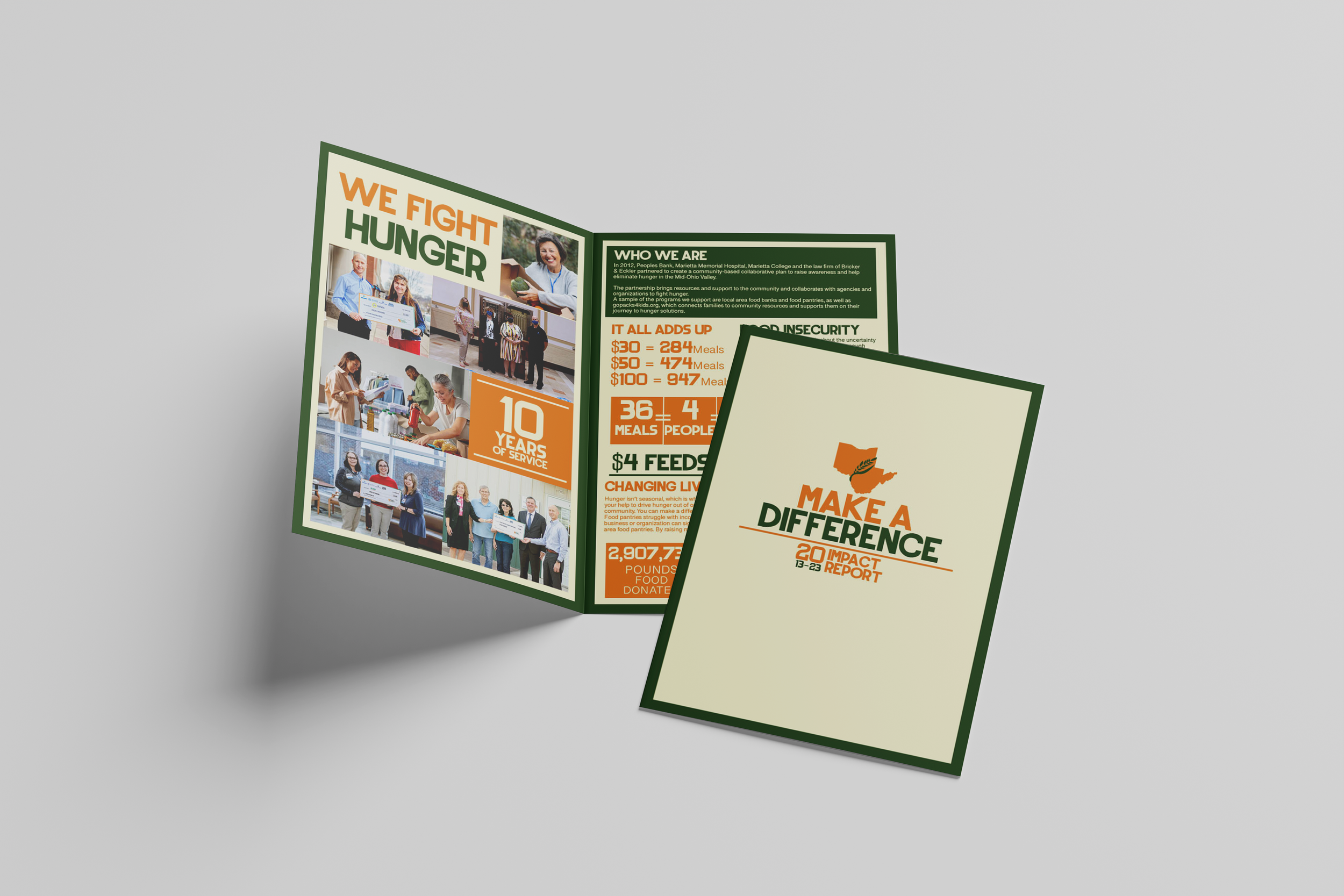 Hunger Solutions Brochure