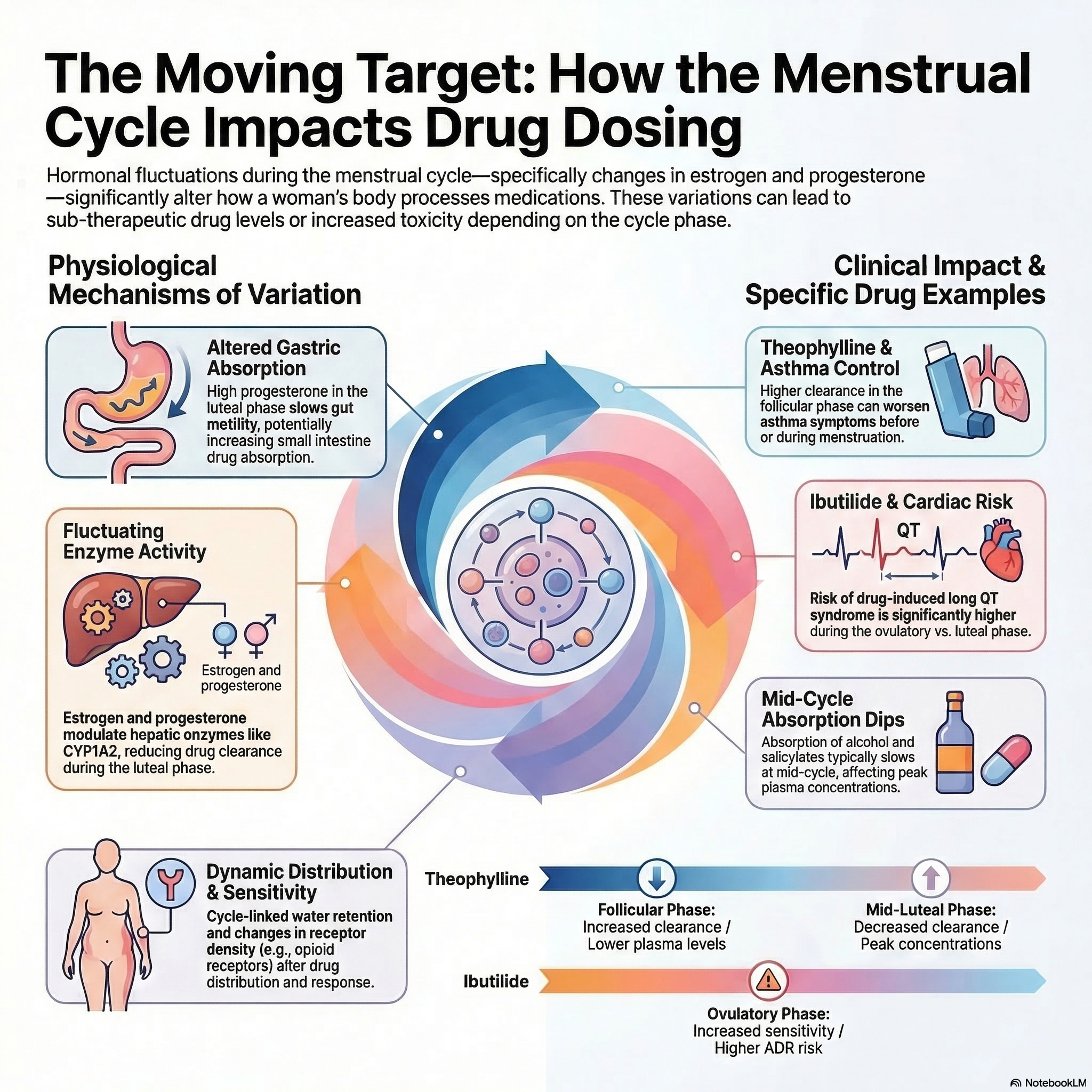 How changes in estrogen during follicular ovulatory and luteal phases affects drug absorption and clearance in women