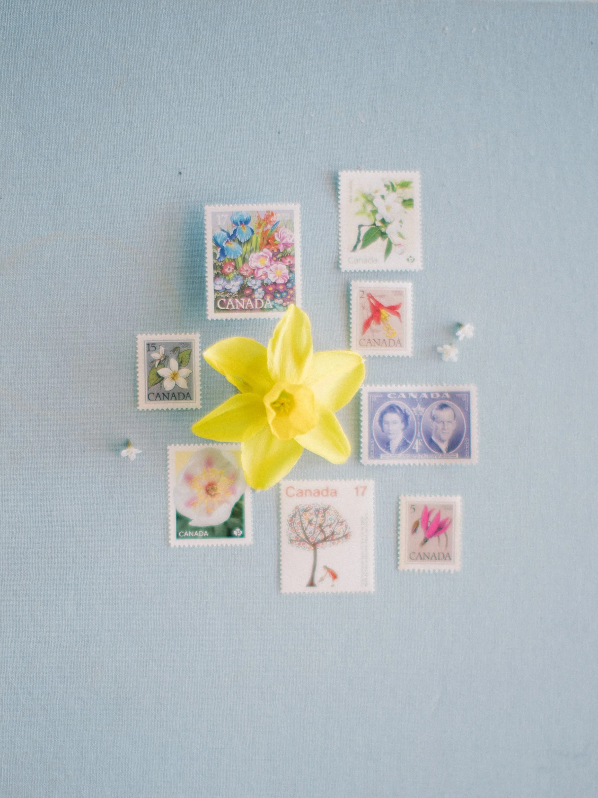 Twig & Bloom floral studio creating romantic, elegant flower arrangements in Saskatoon, Victoria, Regina & Edmonton. We create florals for everyday moments, wedding designs, event flowers, bereavement flowers as well as hosting flower workshops.