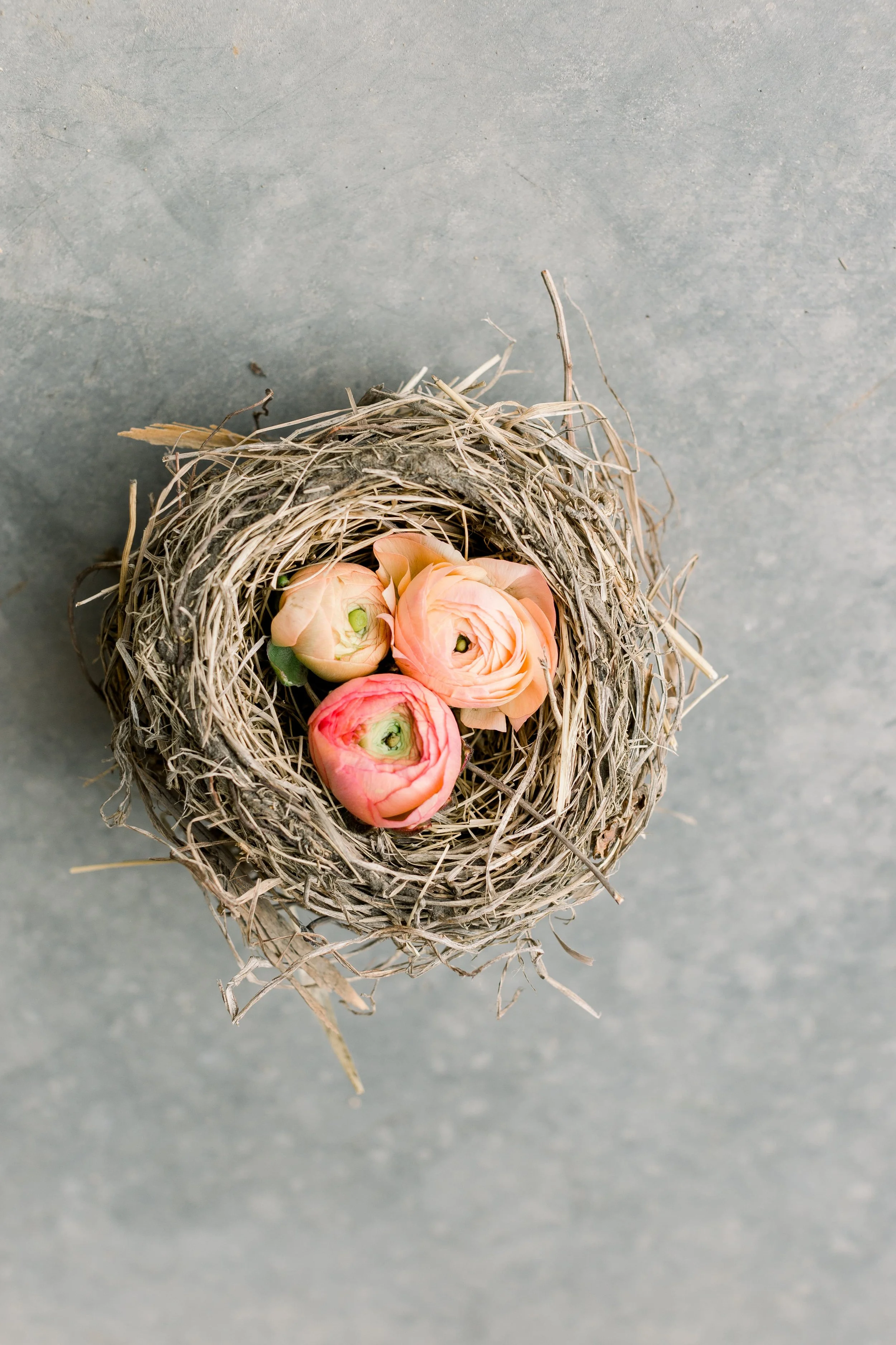 Twig & Bloom Edmonton creates timeless, garden-inspired wedding and event florals. Thoughtfully curated designs rooted in seasonality, artistry, and intention. Serving Edmonton and surrounding areas.Twig & Bloom Edmonton | Luxury Wedding & Event Flor