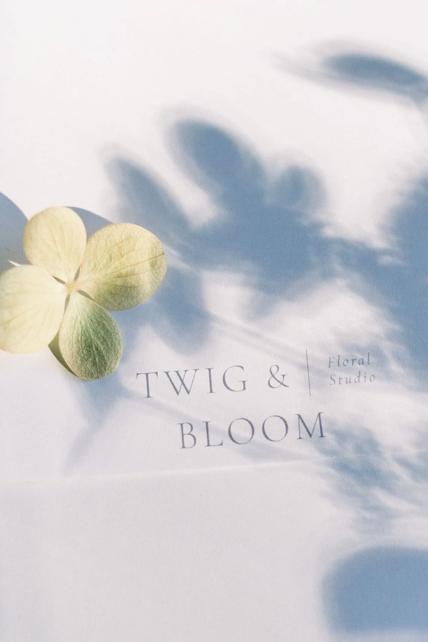 Twig & Bloom Edmonton creates timeless, garden-inspired wedding and event florals. Thoughtfully curated designs rooted in seasonality, artistry, and intention. Serving Edmonton and surrounding areas. Twig & Bloom Edmonton | Luxury Wedding & Event Flo