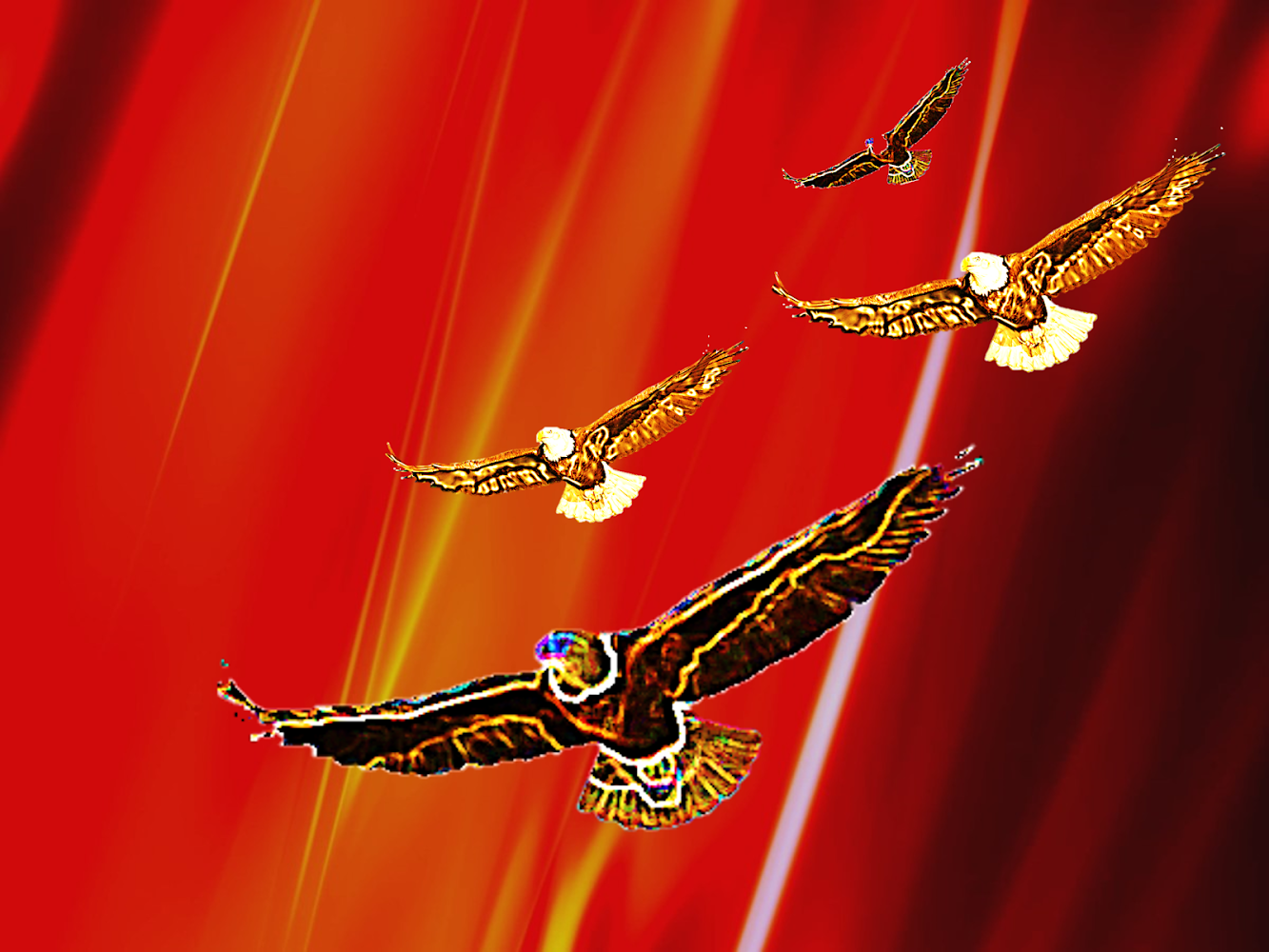 SELF DELIVERANCE GUIDE&nbsp;                  