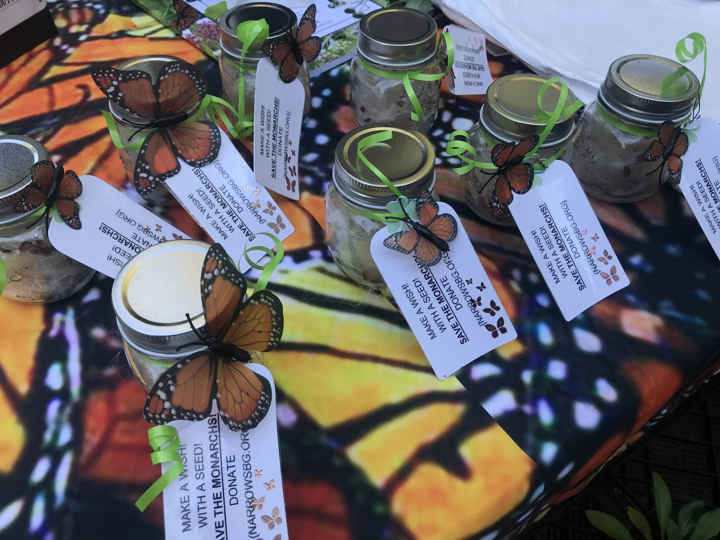 Jars with seeds.jpeg