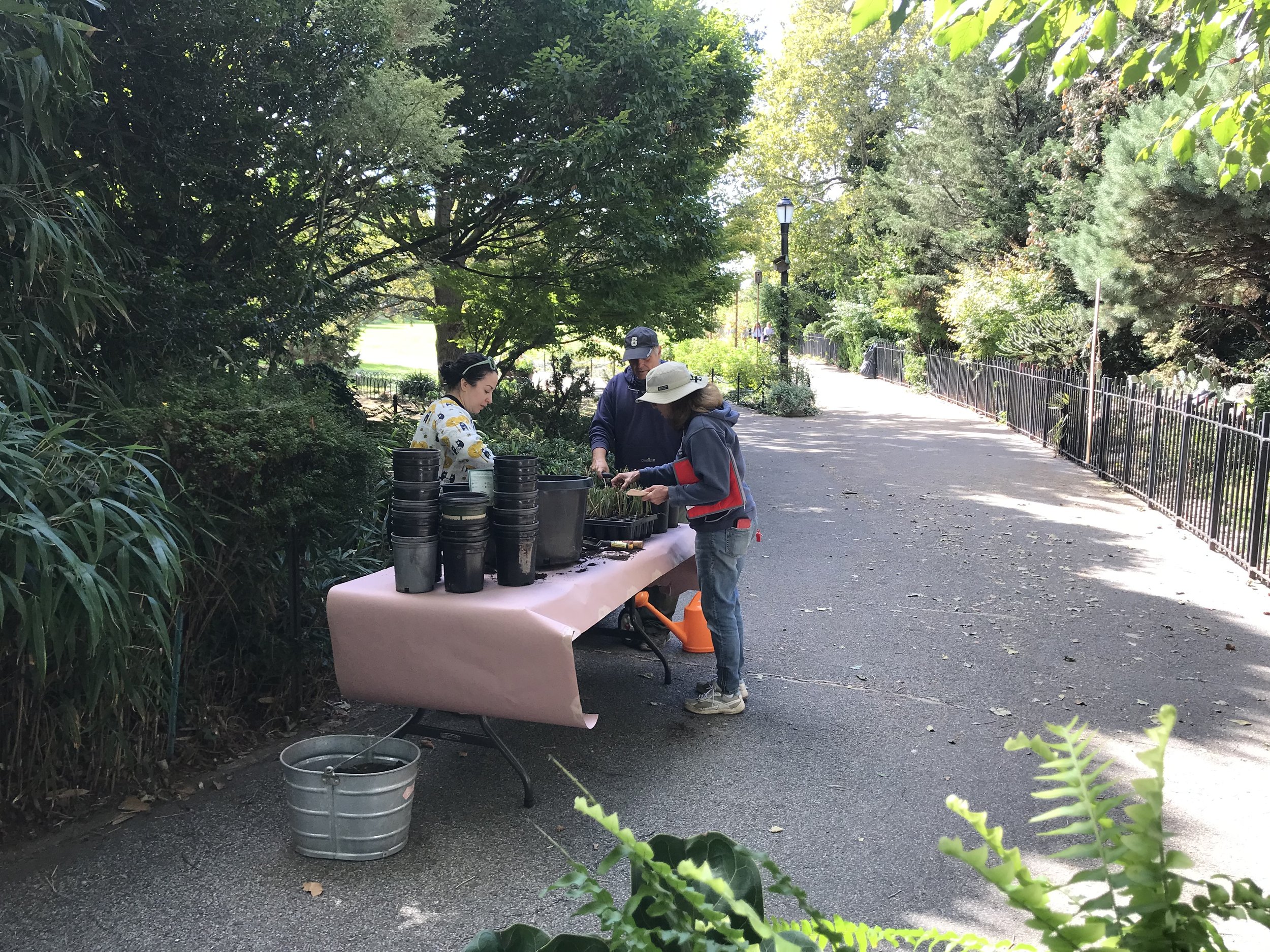 Richie,Patrice,+_PlantingsWide3.jpeg
