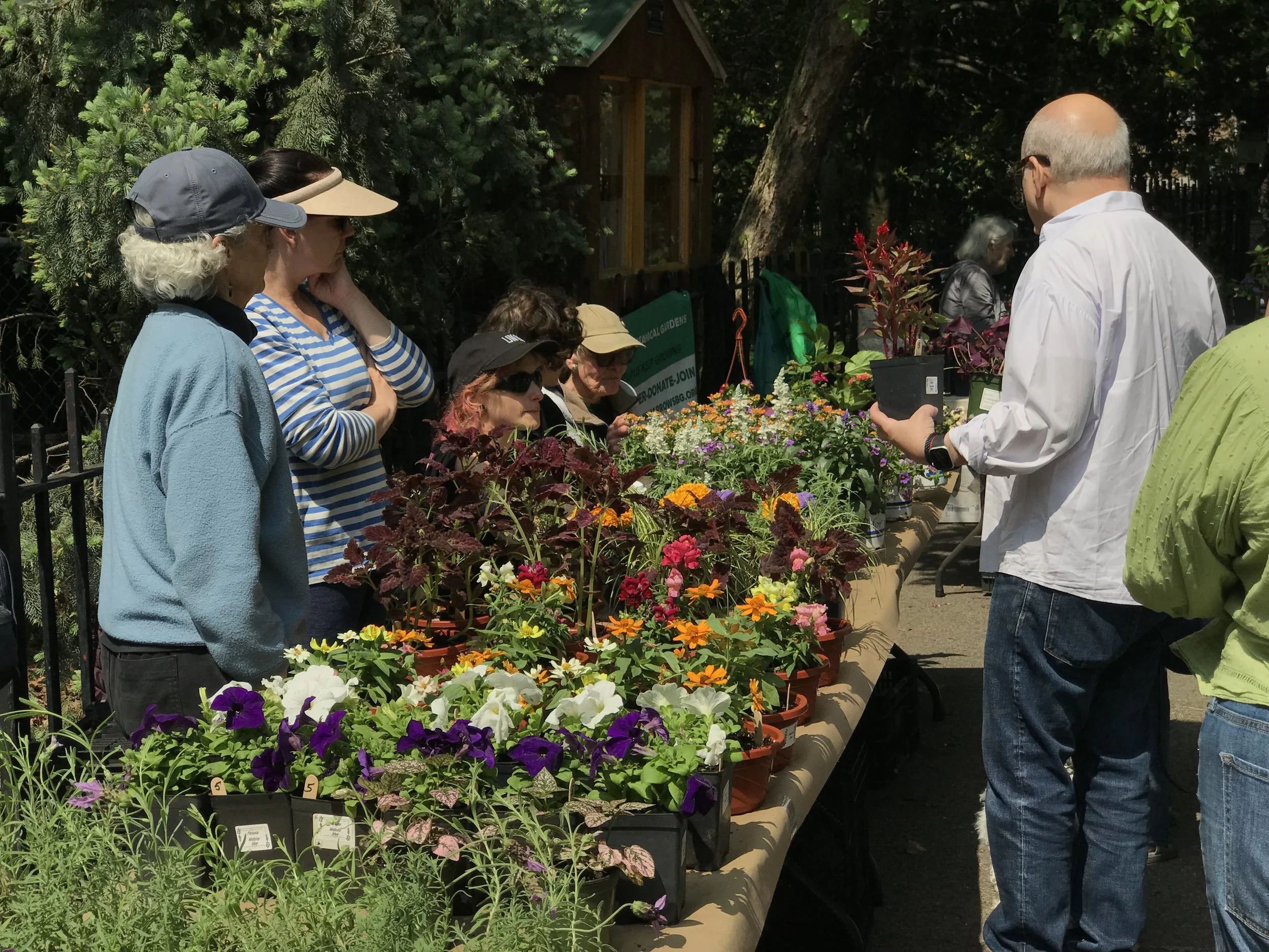 Annual Plant Sale at NBG