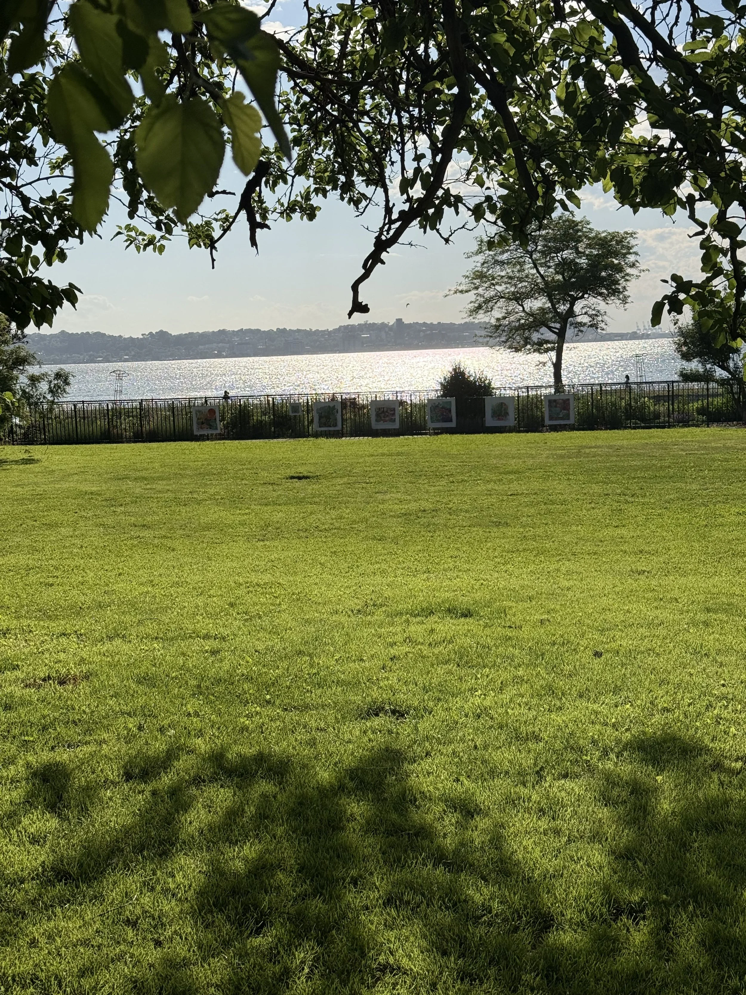 The Great Lawn 