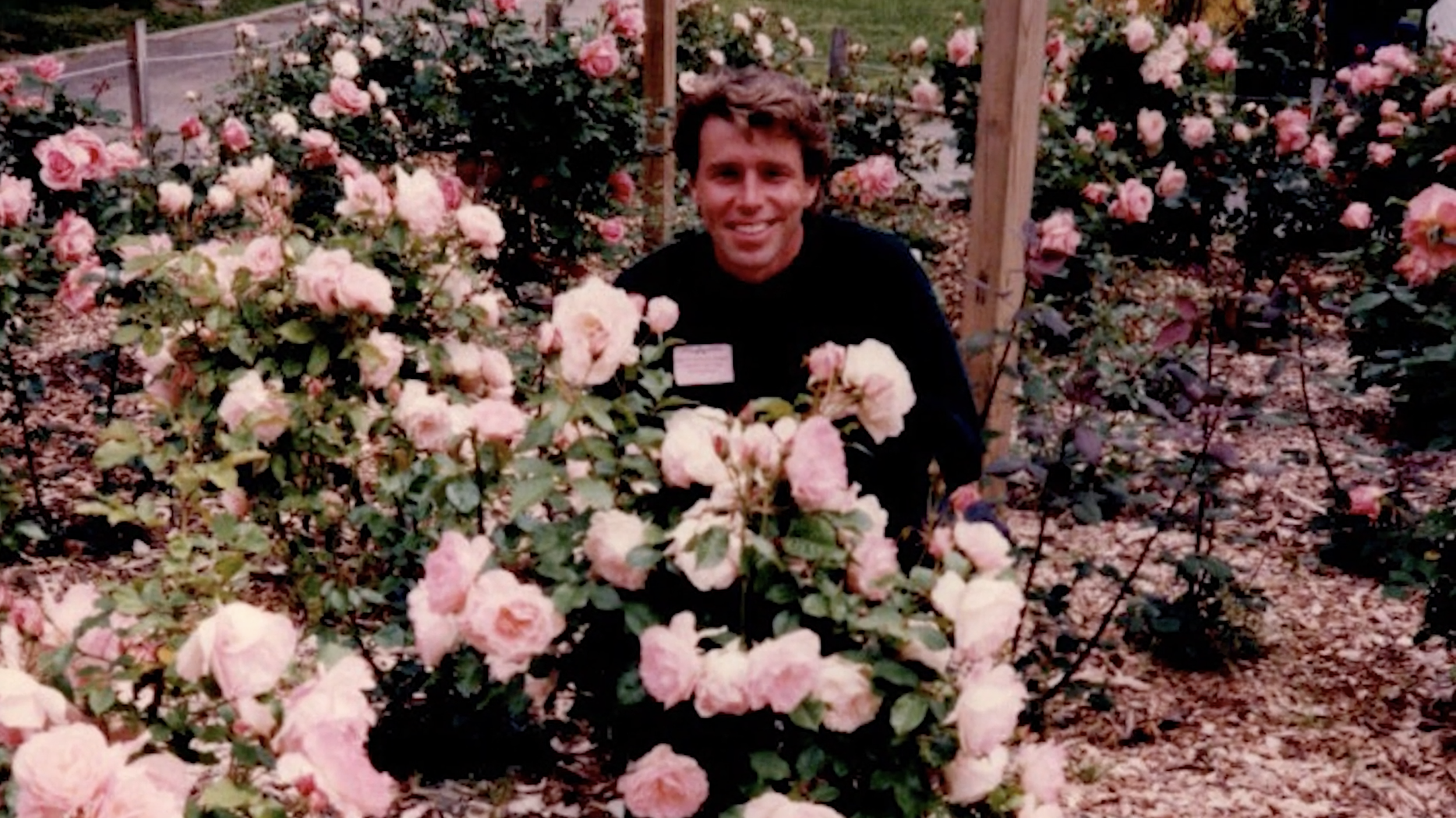 1996 Jimmy Johnson in the modern rose garden