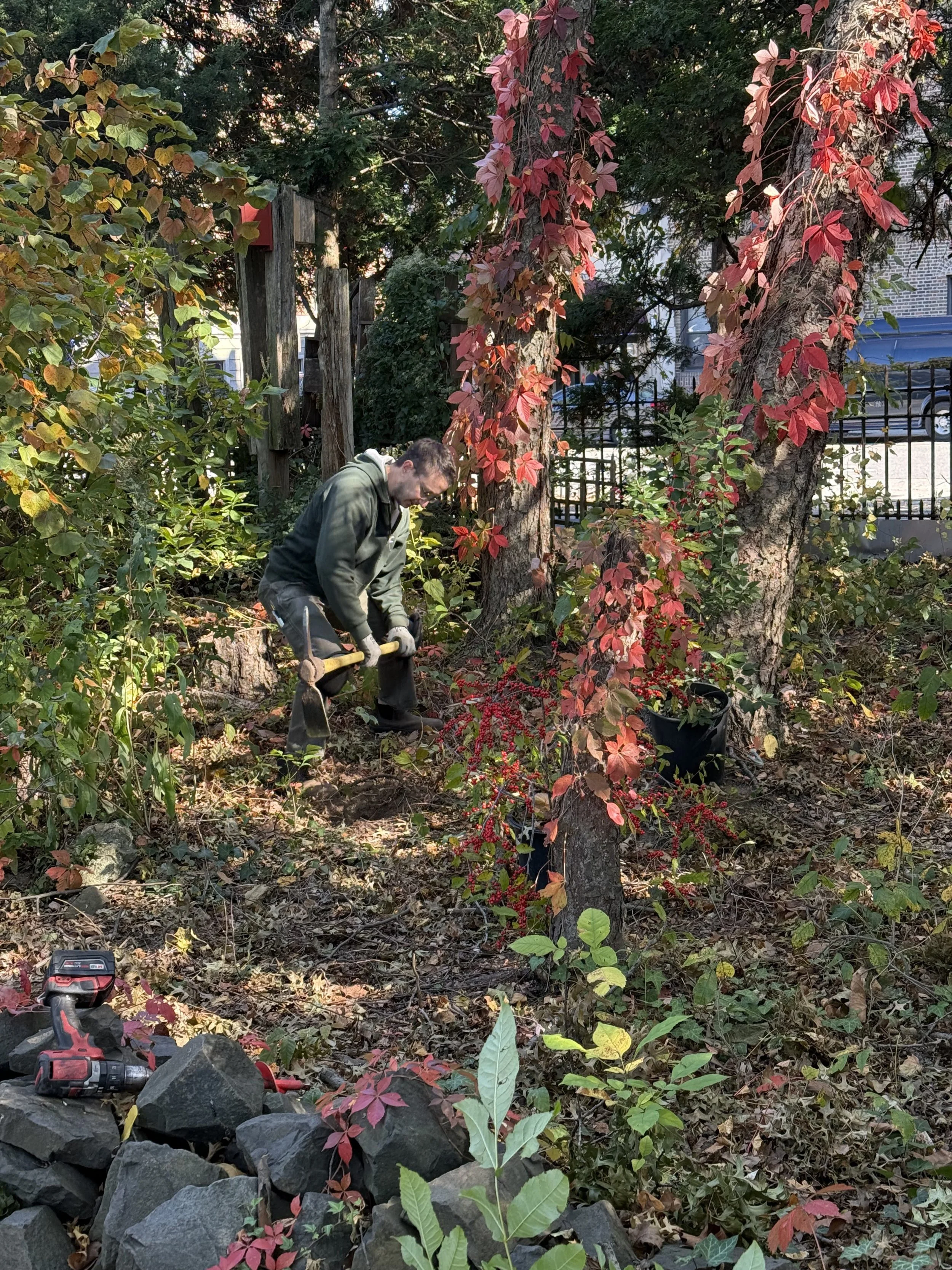 Volunteer planting shrubs in the Native garden