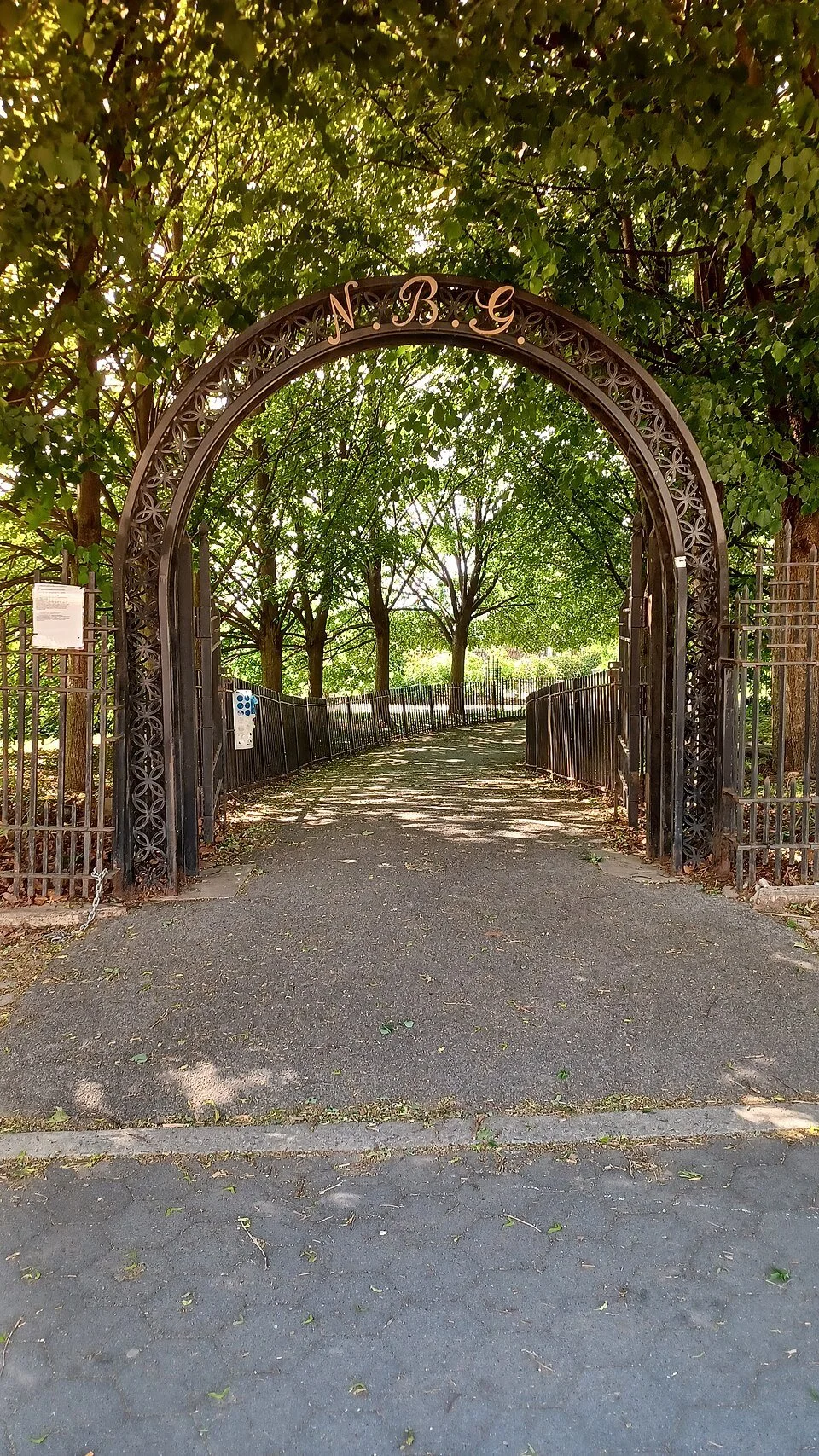 2025 Linden Tree Alee entrance 
