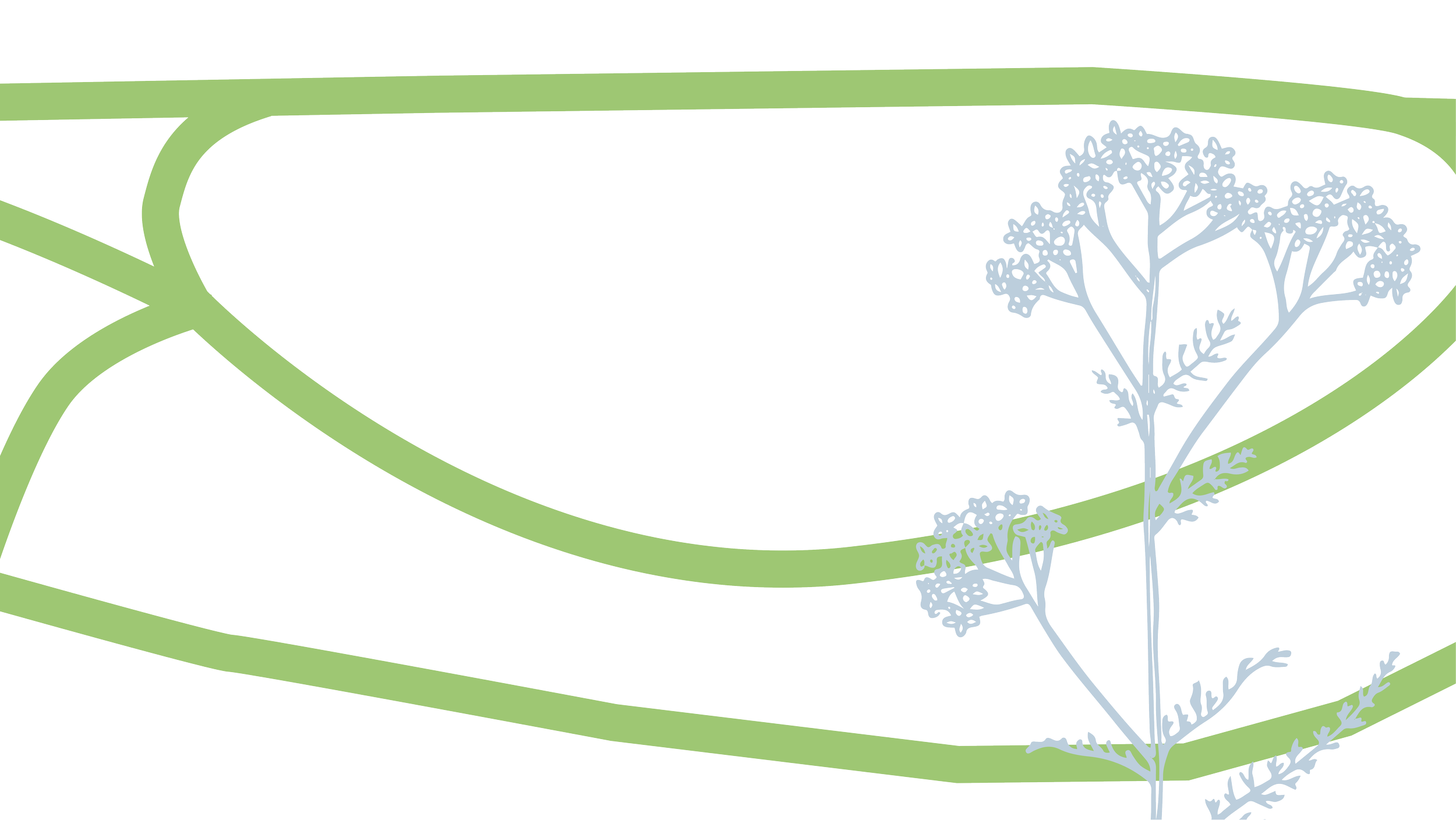 A diagram of an underground utility system showing pipes, a tree, and soil layers.