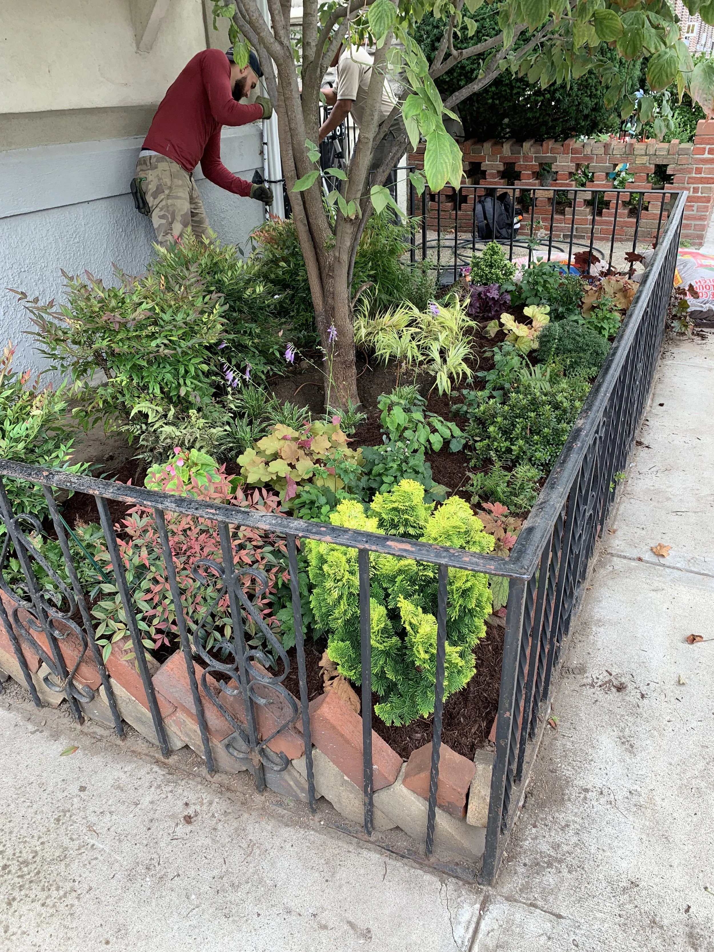Garden at Senior Center