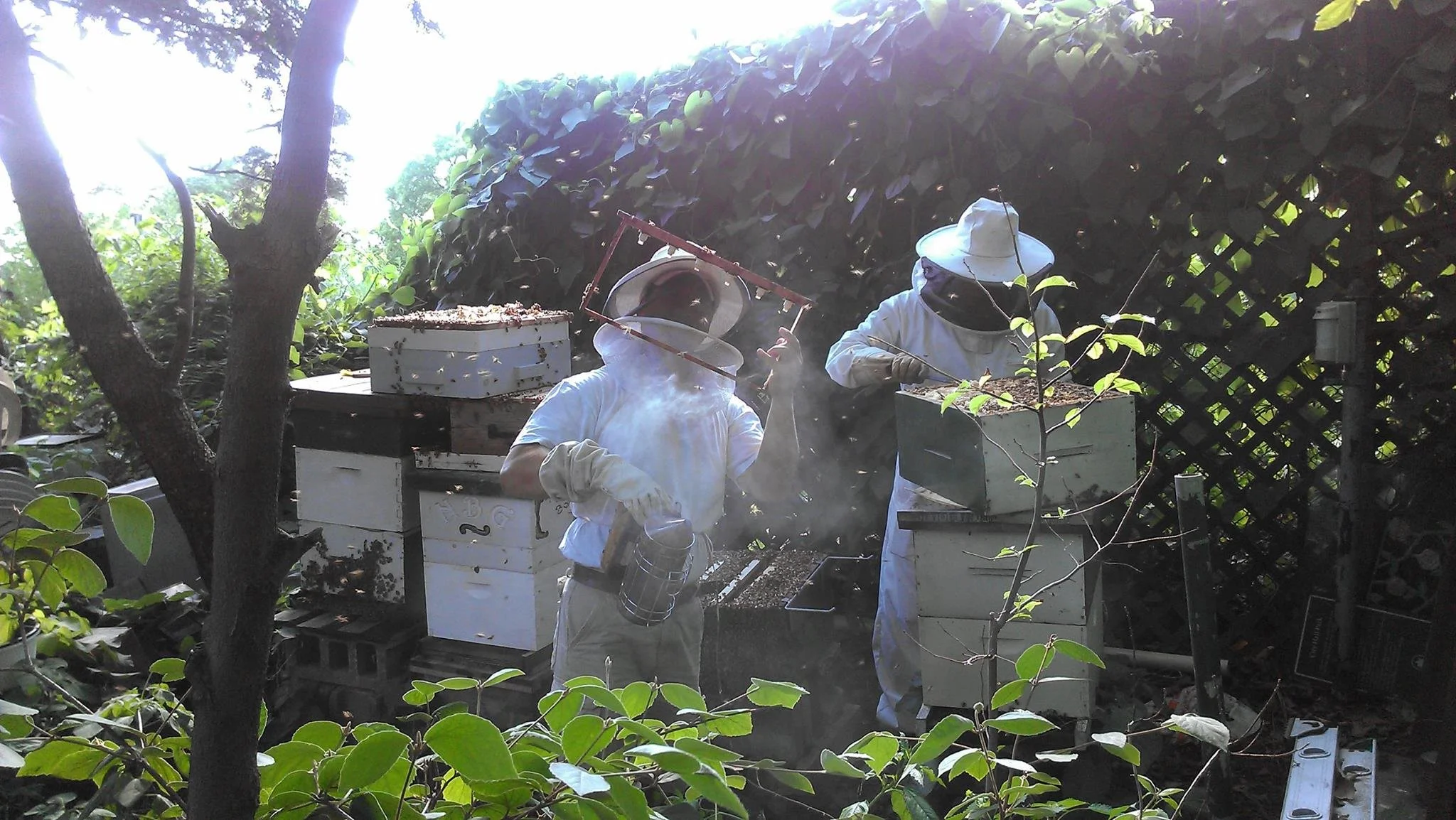 2009 apiary beekeepers