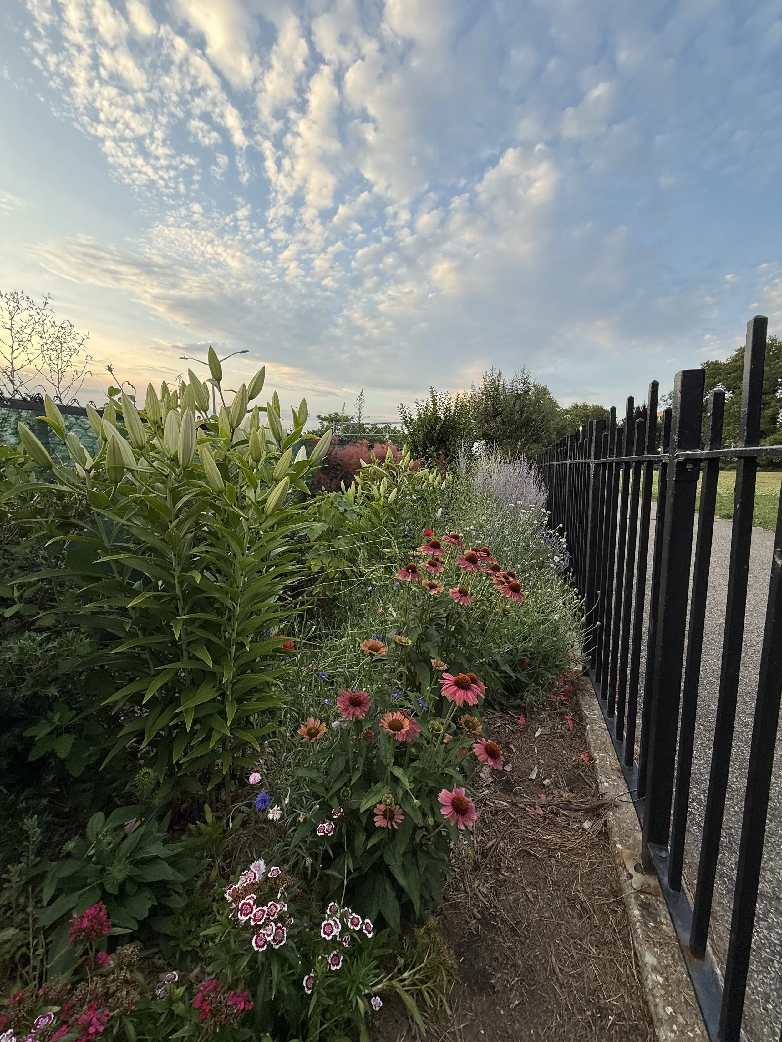 Sensory Garden