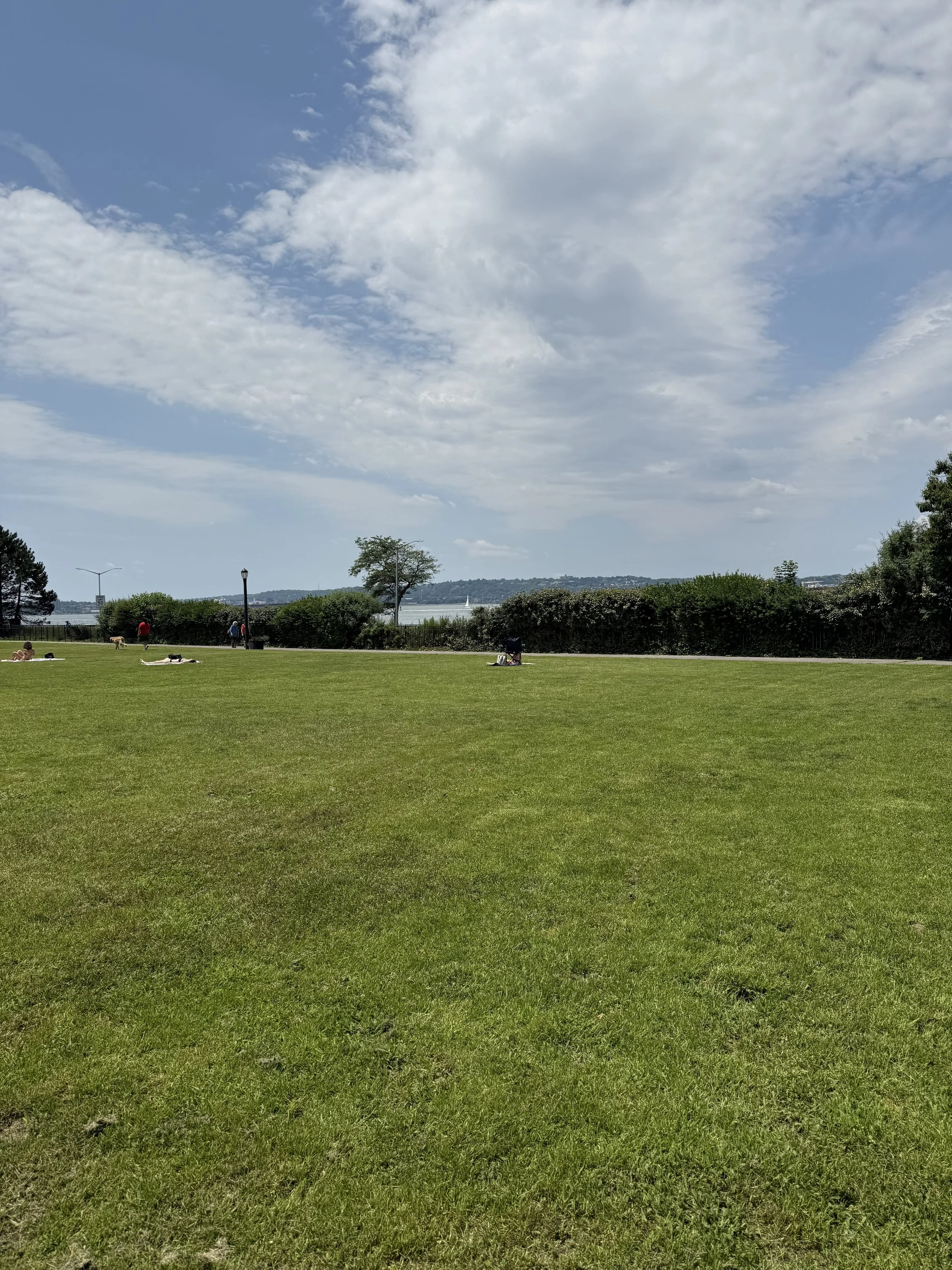The Great Lawn 