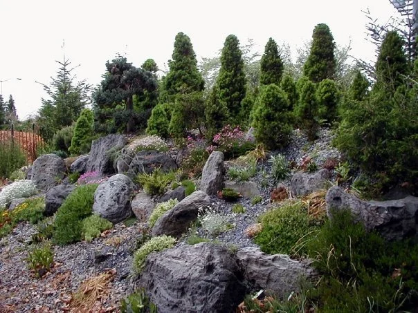 2000 alpine garden