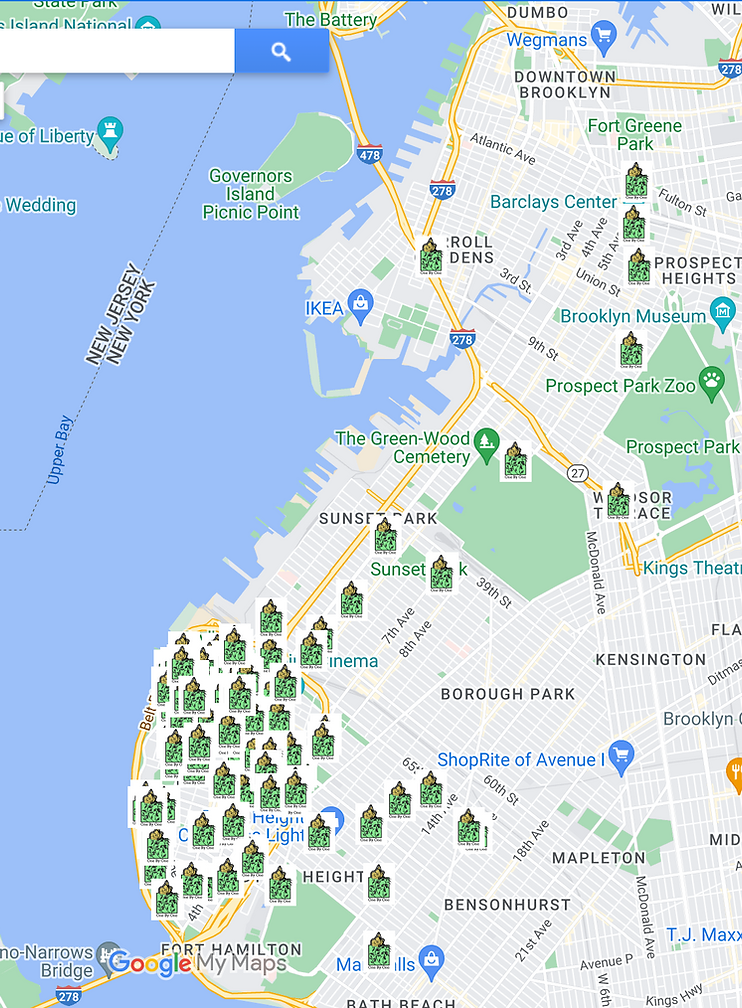 Map showing the locations of all the plants planted in brooklyn given by NBG via the 1x1 project