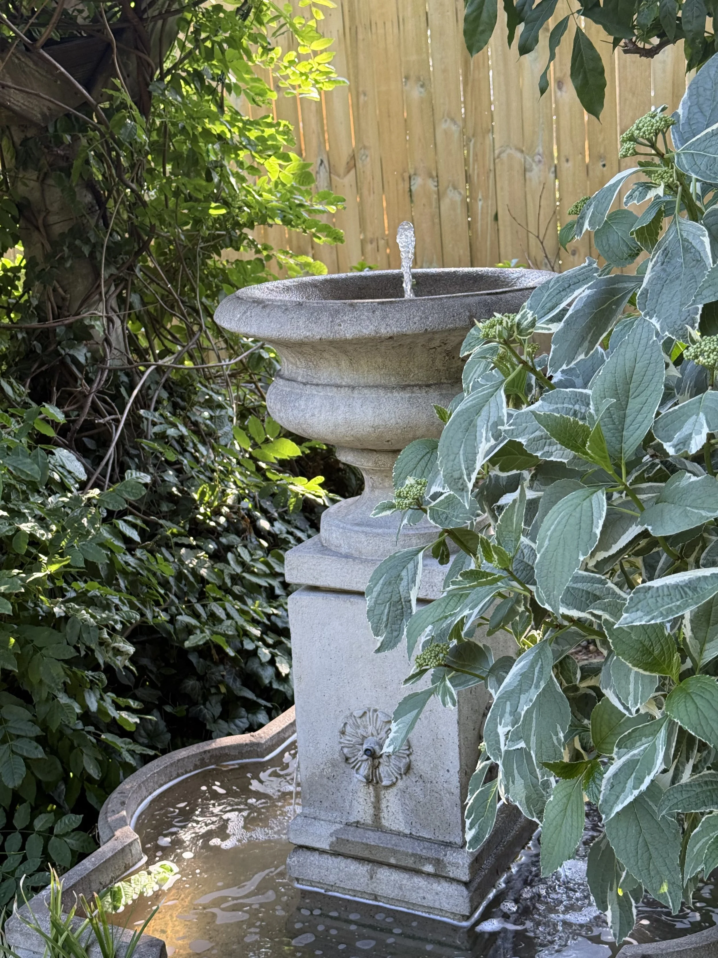 White Garden