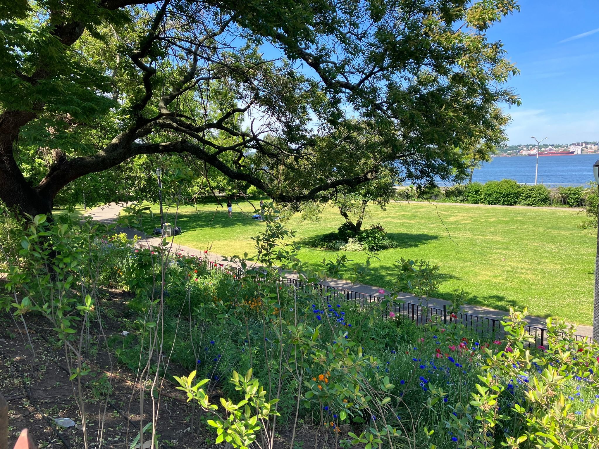 Pocket Forest