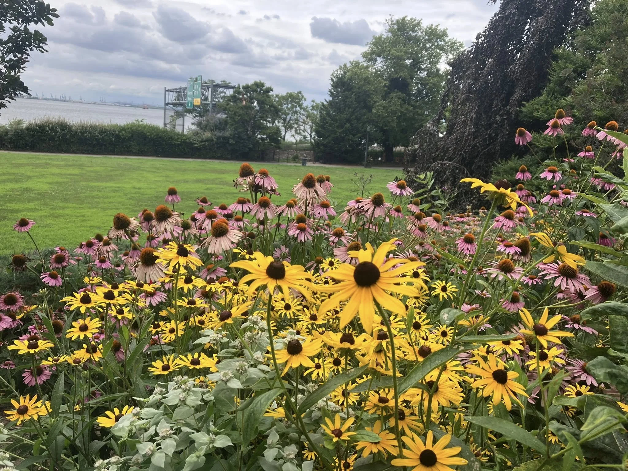 A park with yellow and pink flowers in foreground, green grass, trees, and water in background, under cloudy sky.