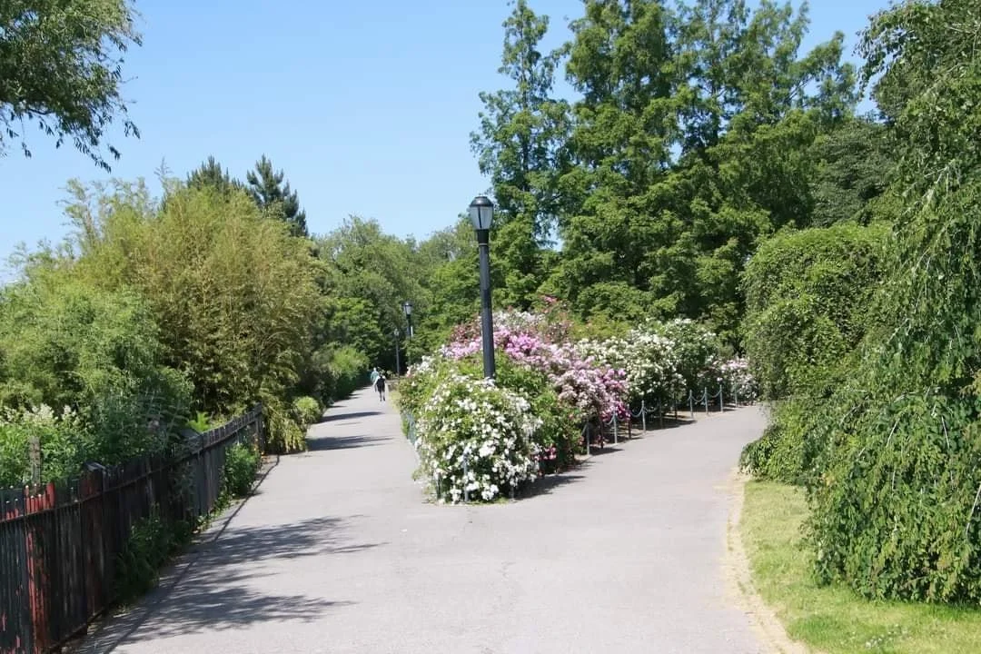 garden-3.jpg