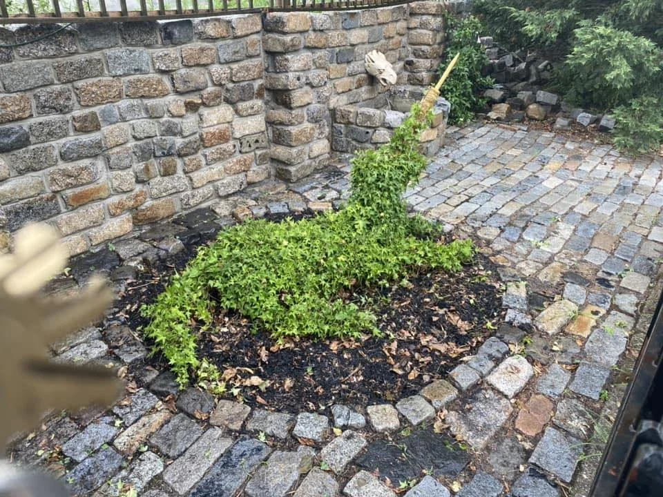 Unicorn Garden