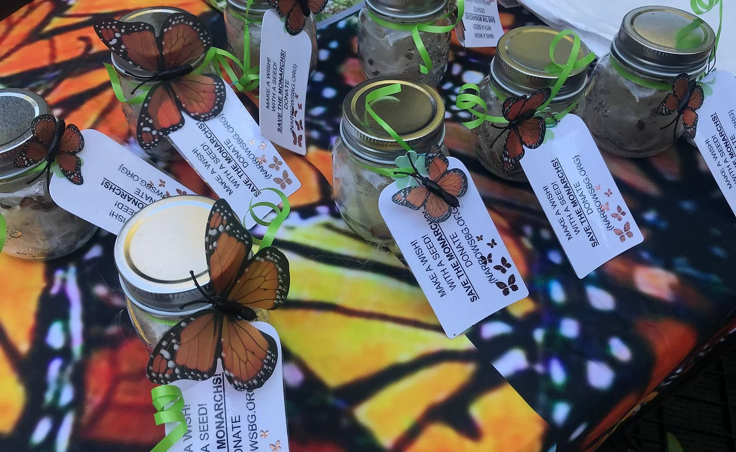 Jars of milkweed seeds given to the public during monarch awarness day
