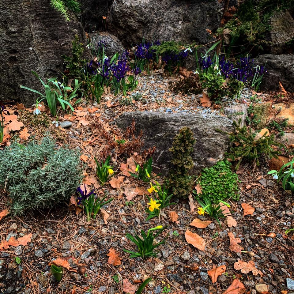 Apine Garden