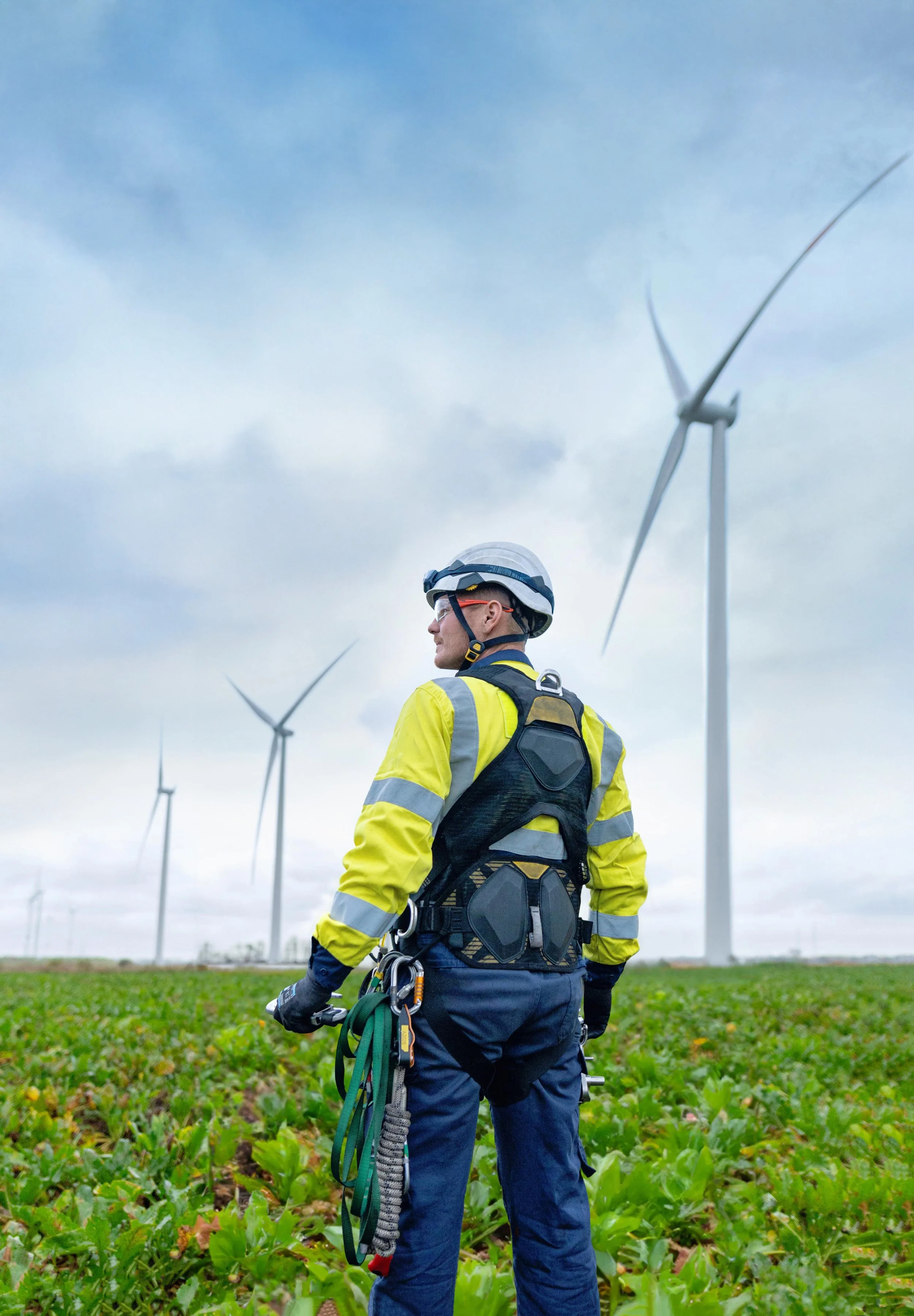 Work Portofolio 11.jpg