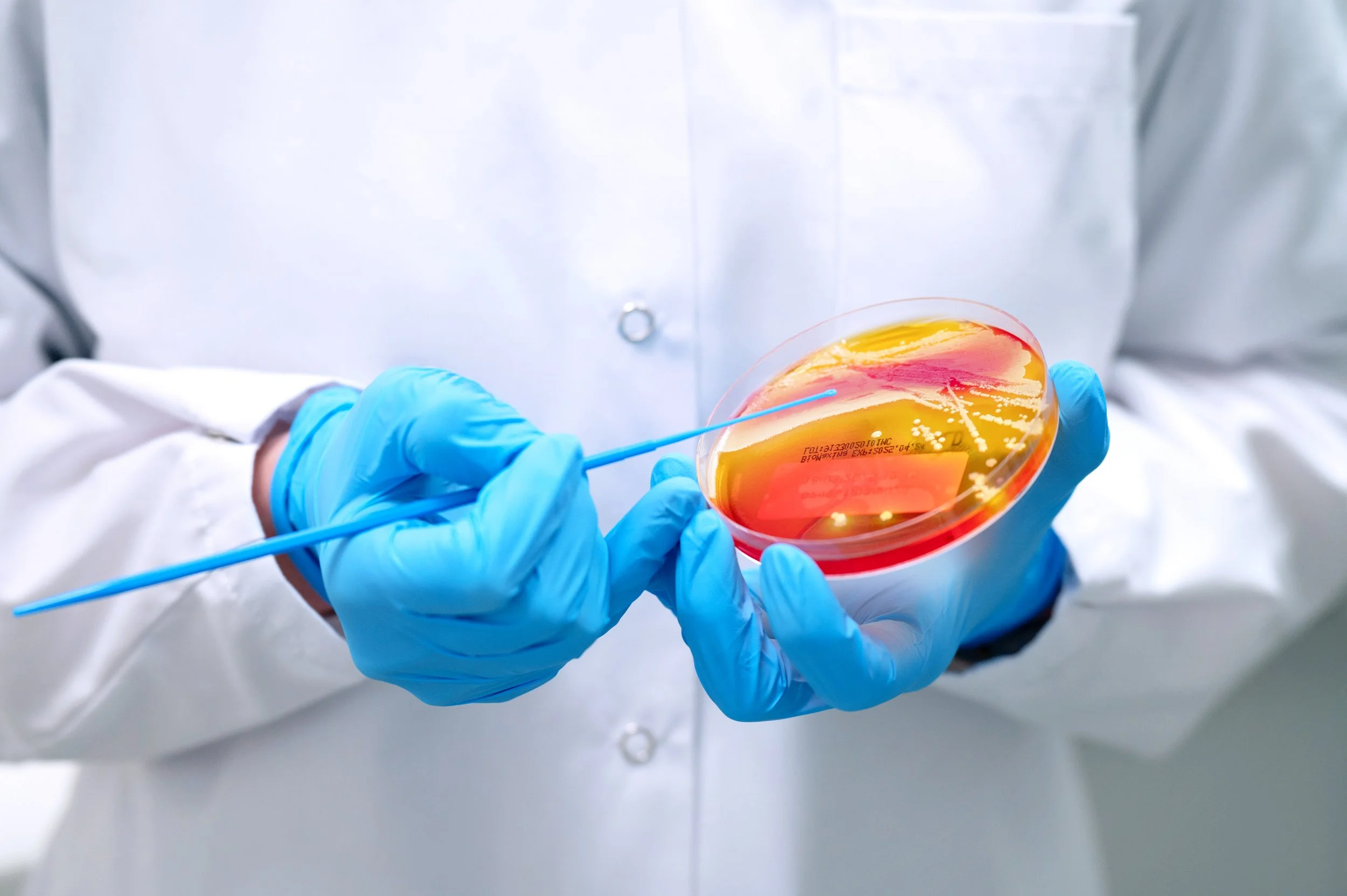 Work Portofolio 40.jpg