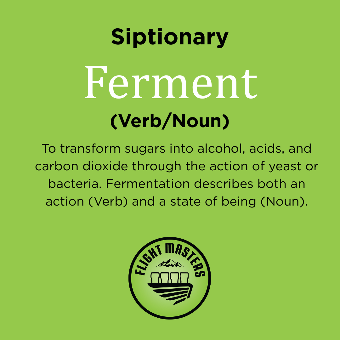 Beer Term of the Day: Ferment
