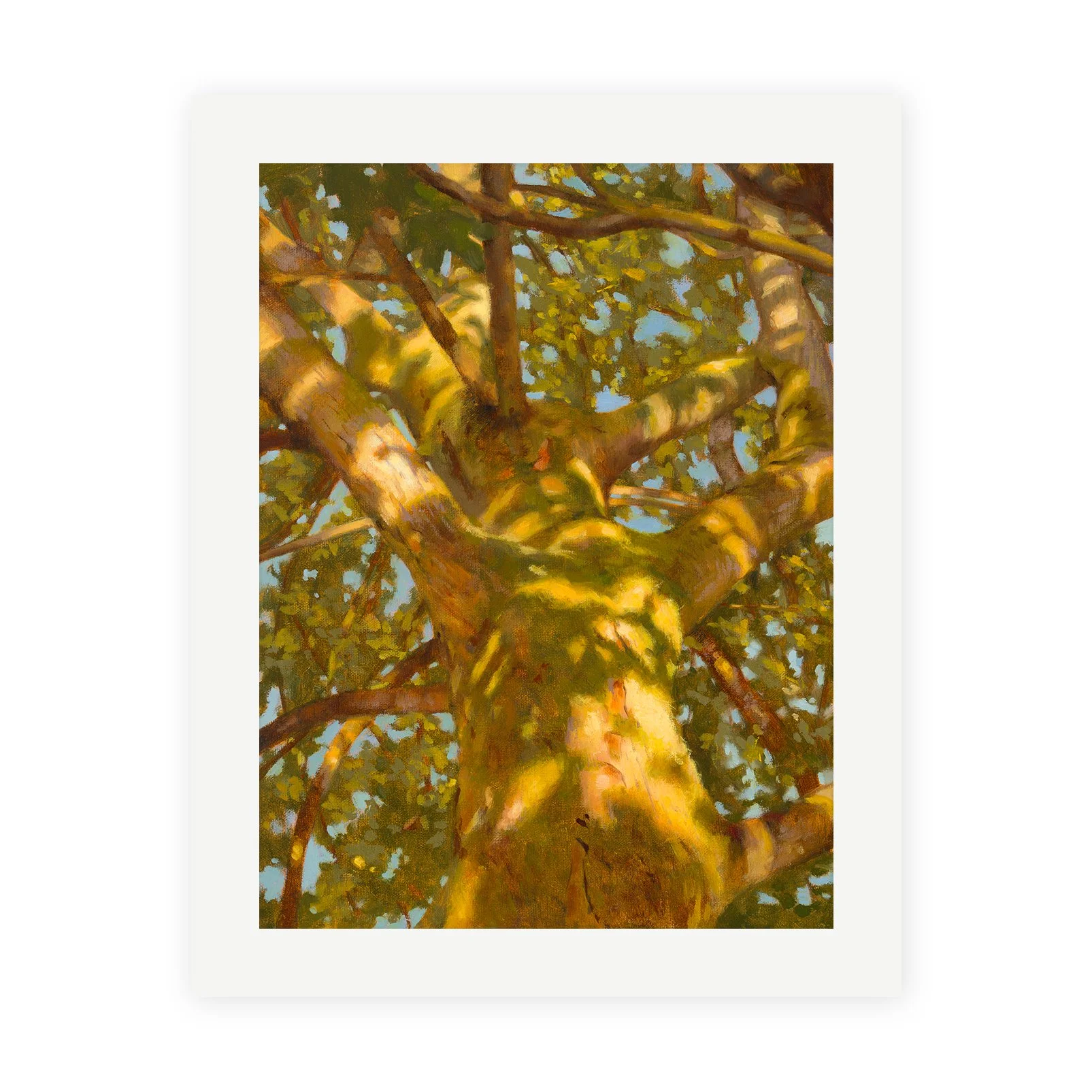 "Dancing Lights" Print