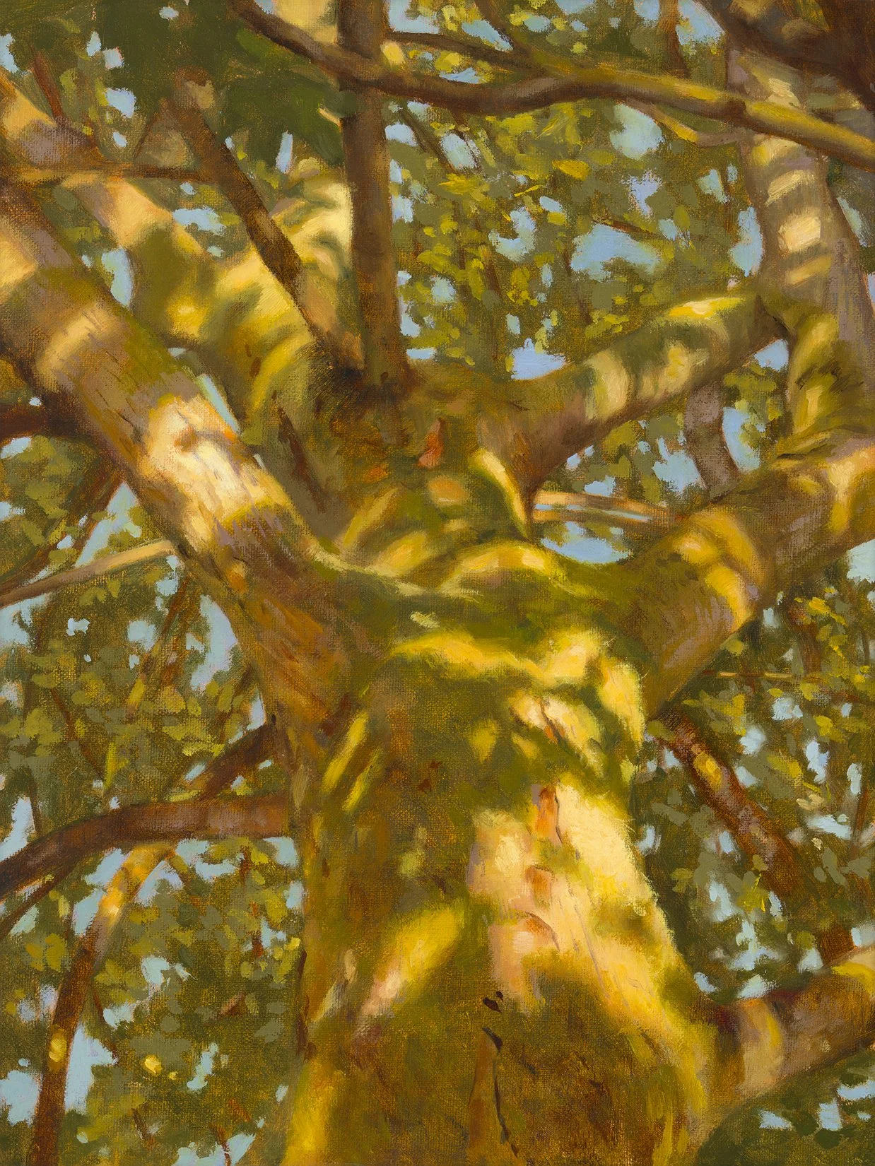 Dancing Lights web.jpg