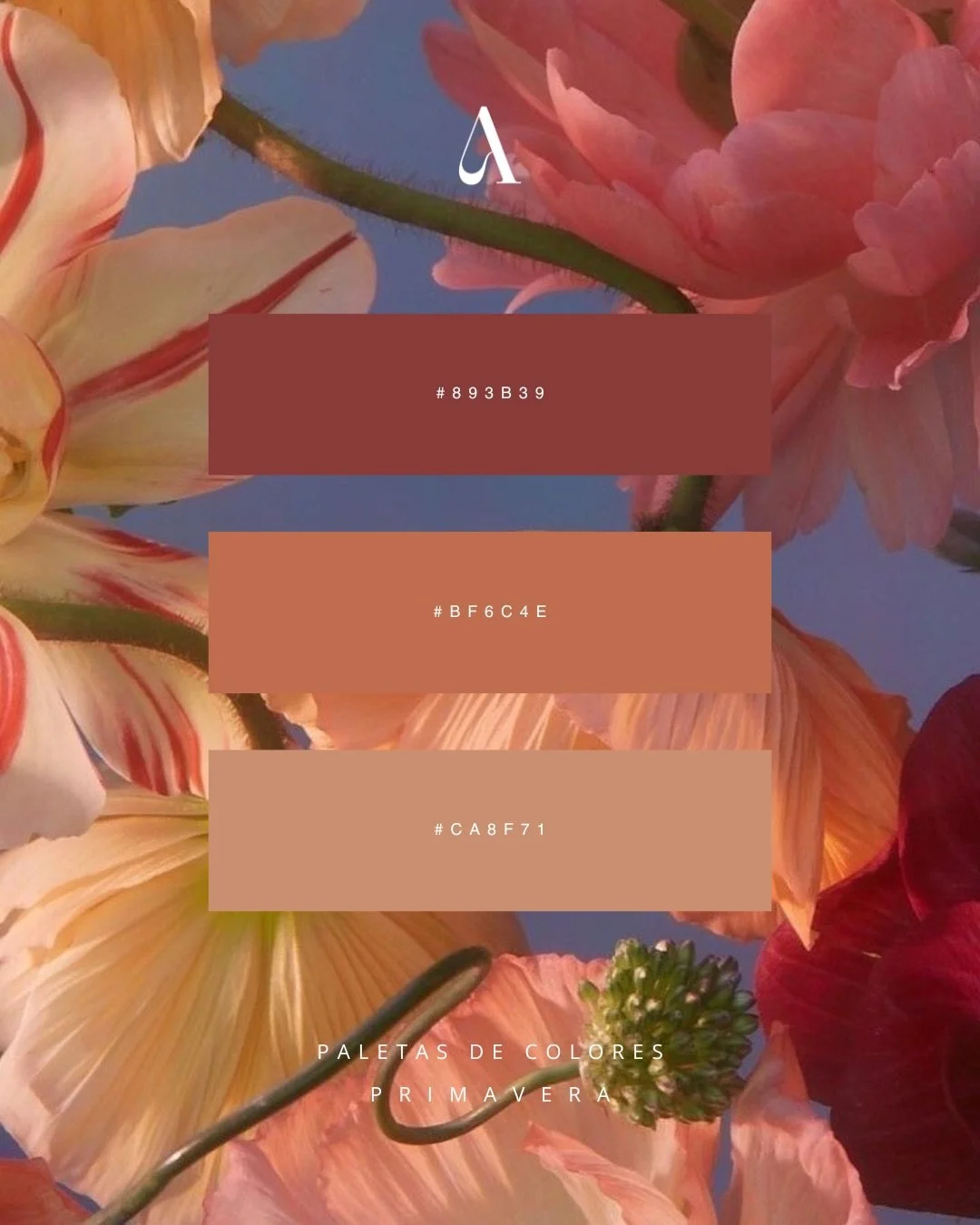 Groundbreaking: Flores para primavera.🌷

La naturaleza nunca dejar&aacute; de ser un cl&aacute;sico y siempre una buena idea para inspiraci&oacute;n, en este caso de paletas de colores que coordinan armon&iacute;a y frescura. ✨

Los colores, patrone