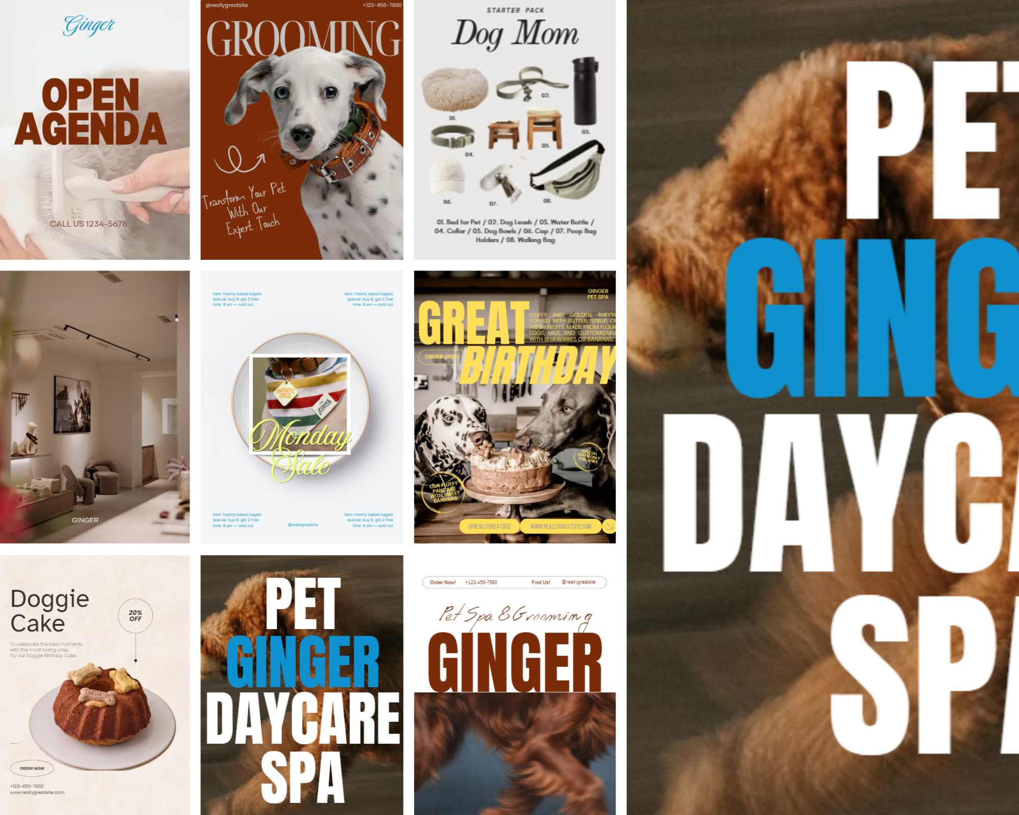 Colección de anuncios y promociones relacionadas con mascotas, cuidado de perros y servicios de spa para perros, incluyendo productos, eventos y ofertas especiales, con imágenes de perros y artículos para mascotas.