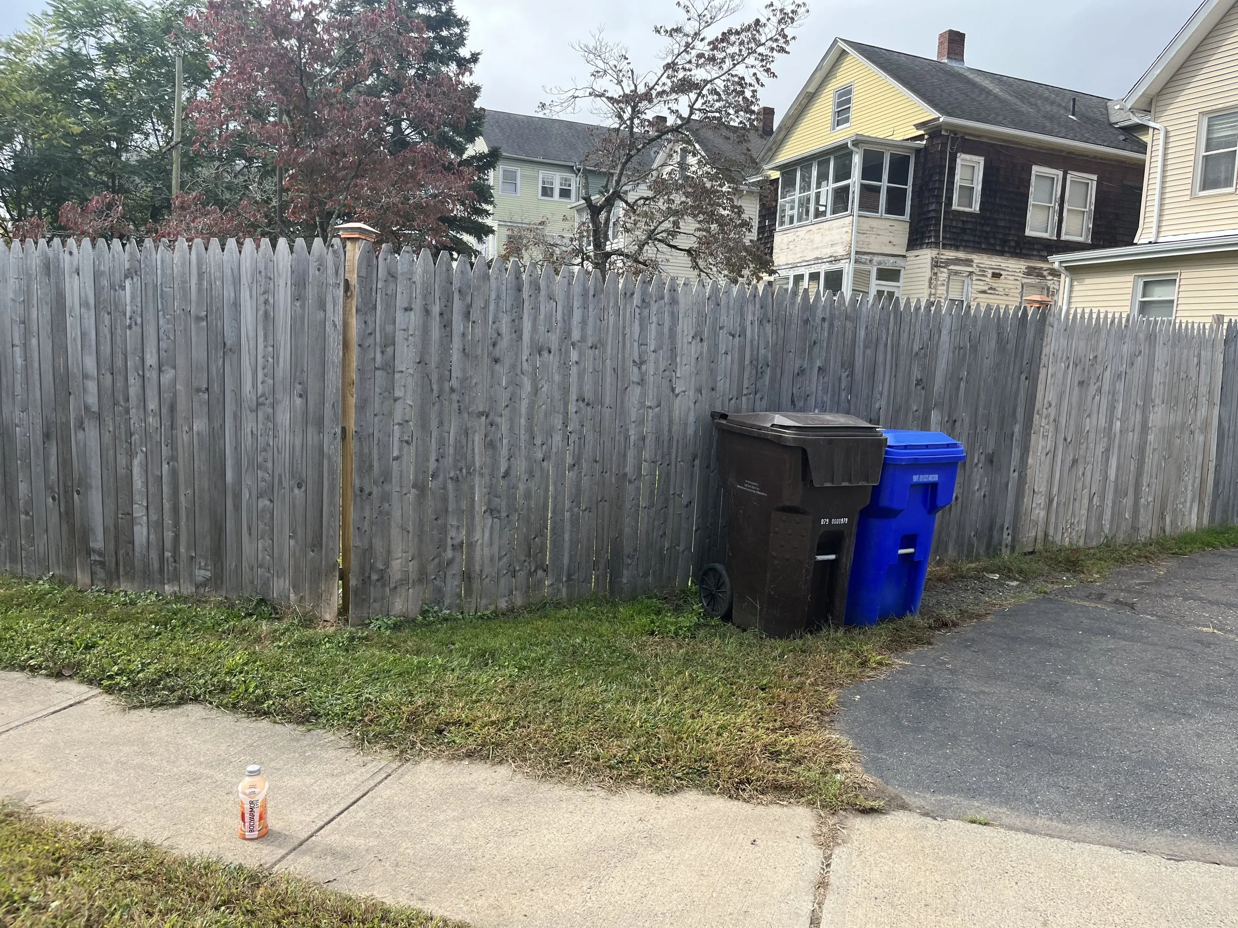 IMG_3237.jpeg