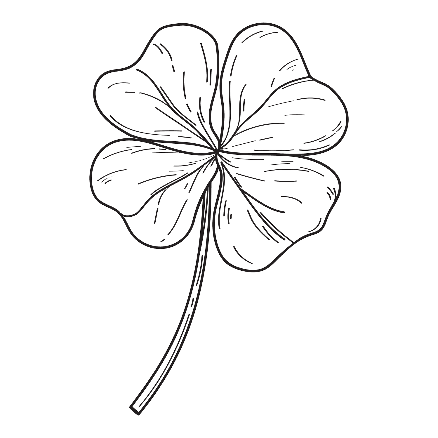 Amelia Sanders Design