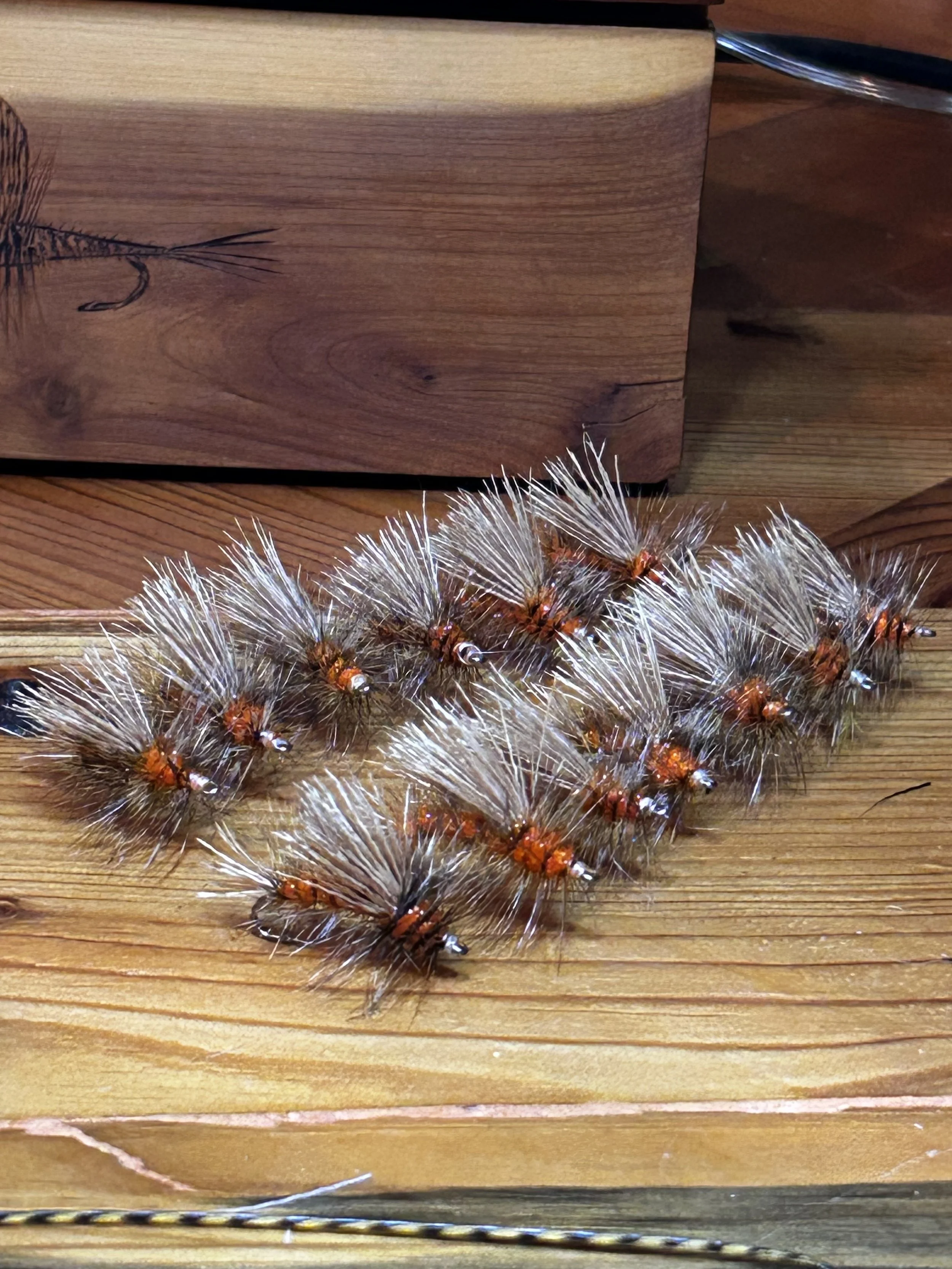 A group of fuzzy caterpillars with orange and black markings and long white hair-like bristles on a wooden surface.