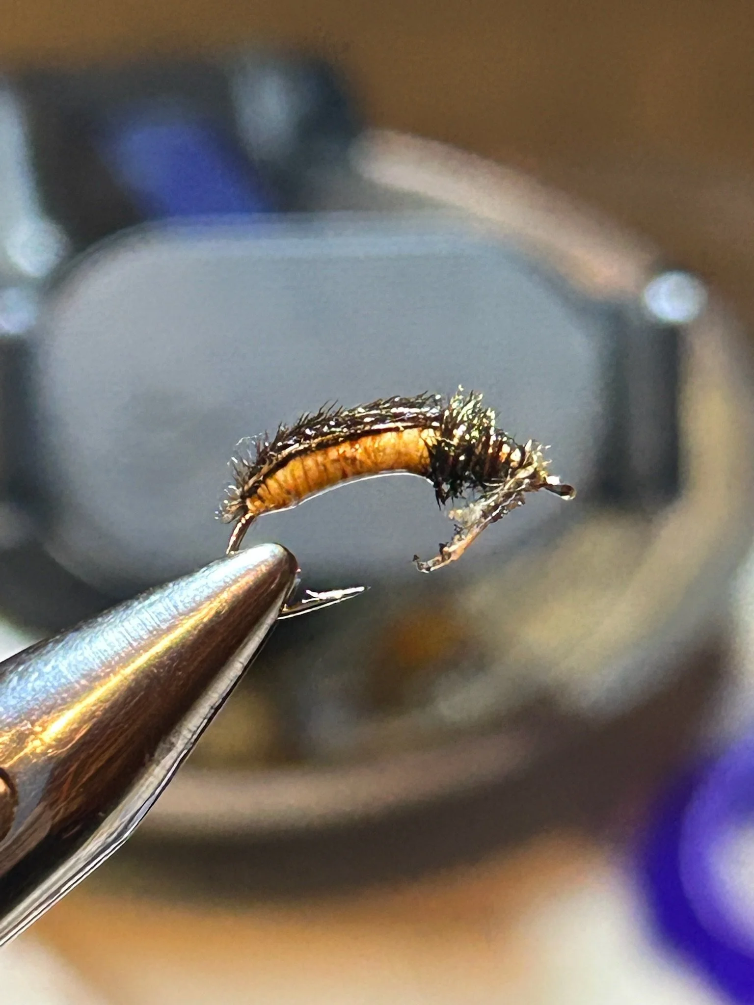 Close-up of a fishing fly held by tweezers with a blurred background.