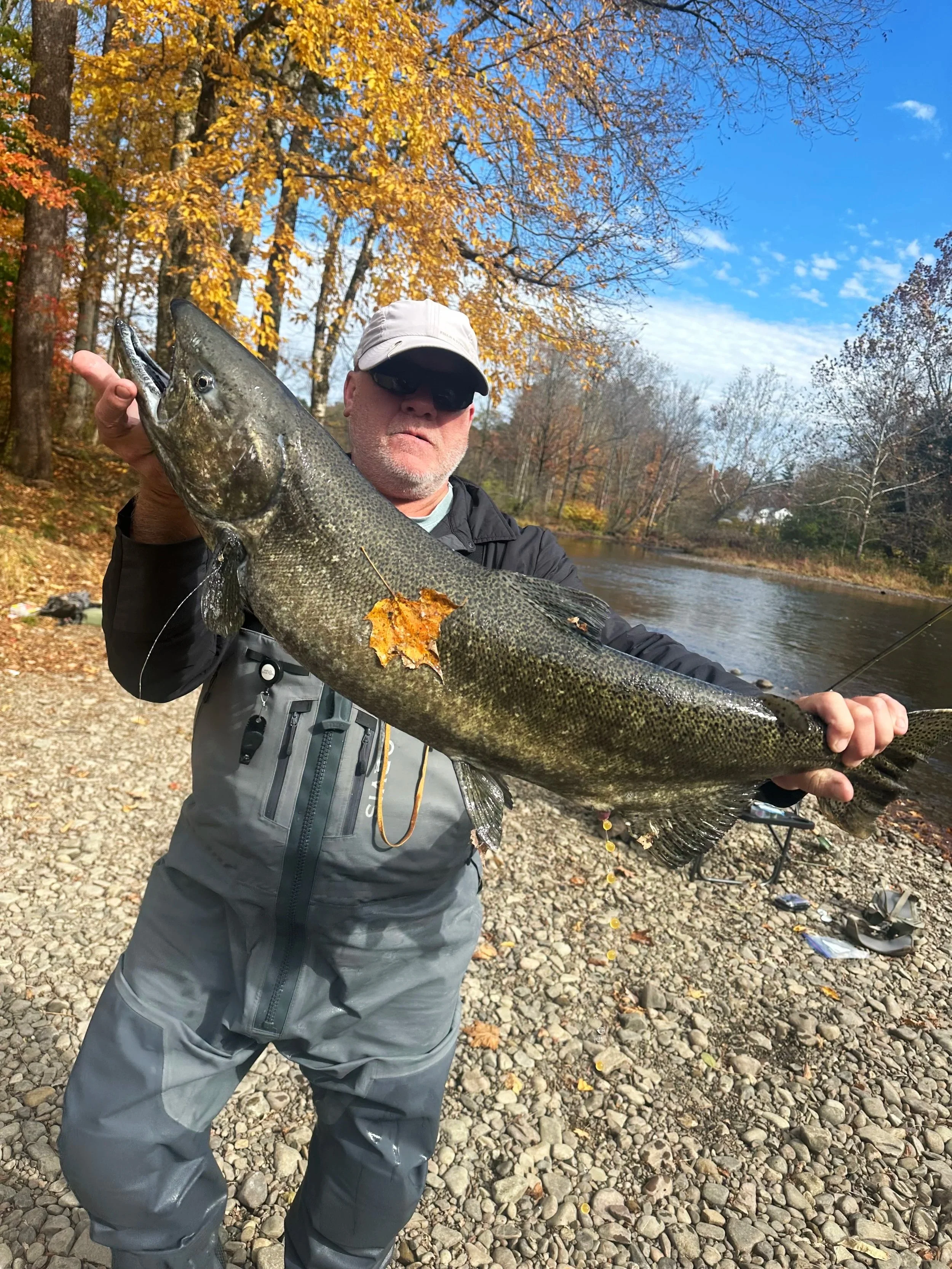A man wearing a gray cap, black jacket, sunglasses, and gray waders is holding a large fish, likely a bass, by the mouth with his left hand and supporting its tail with his right hand. The background shows a creek or river surrounded by trees with autumn-colored leaves and a partly cloudy sky.