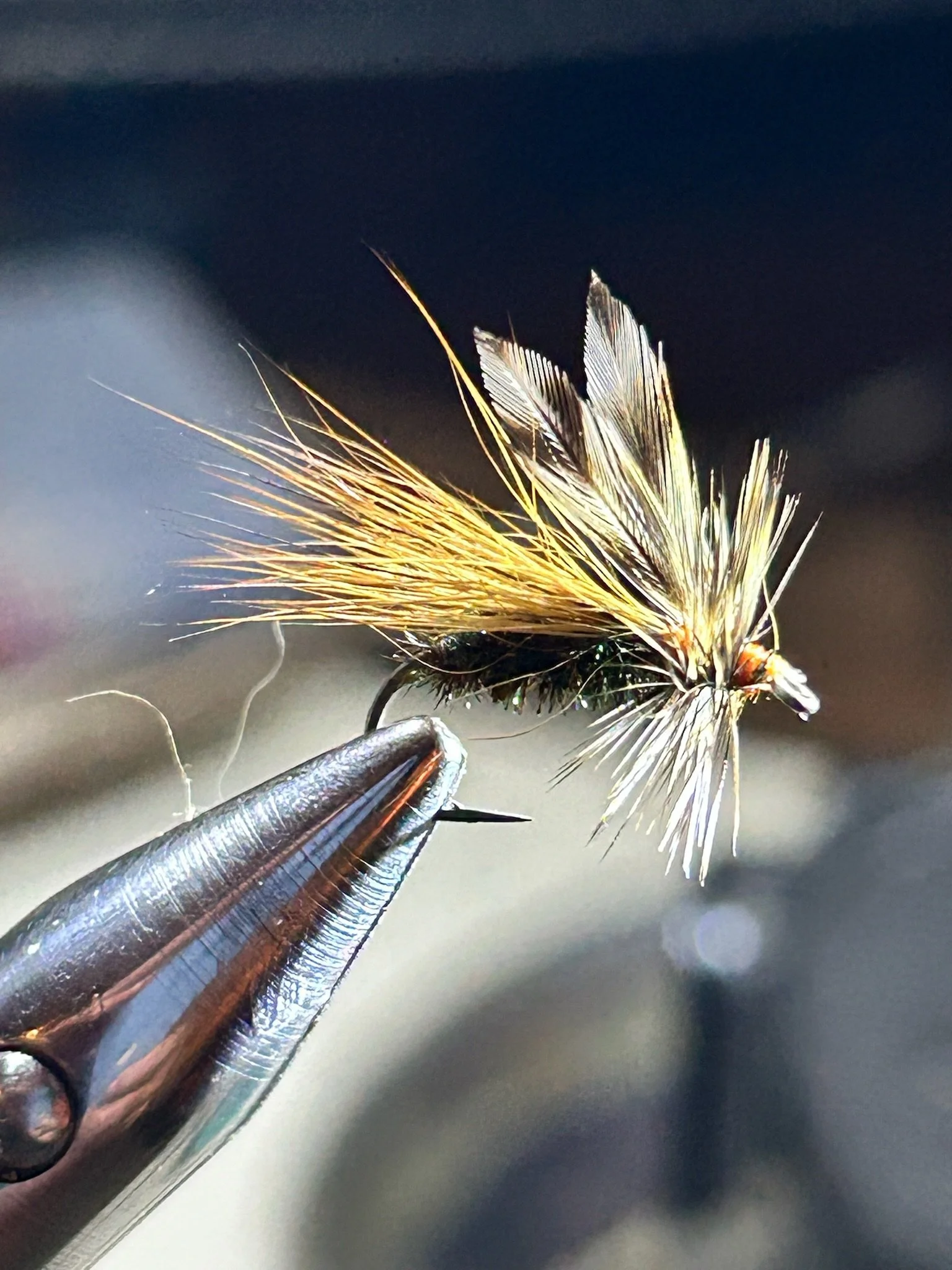 Close-up of a fishing fly held in a pair of pliers, used for fly fishing, with detailed feathers and synthetic materials.