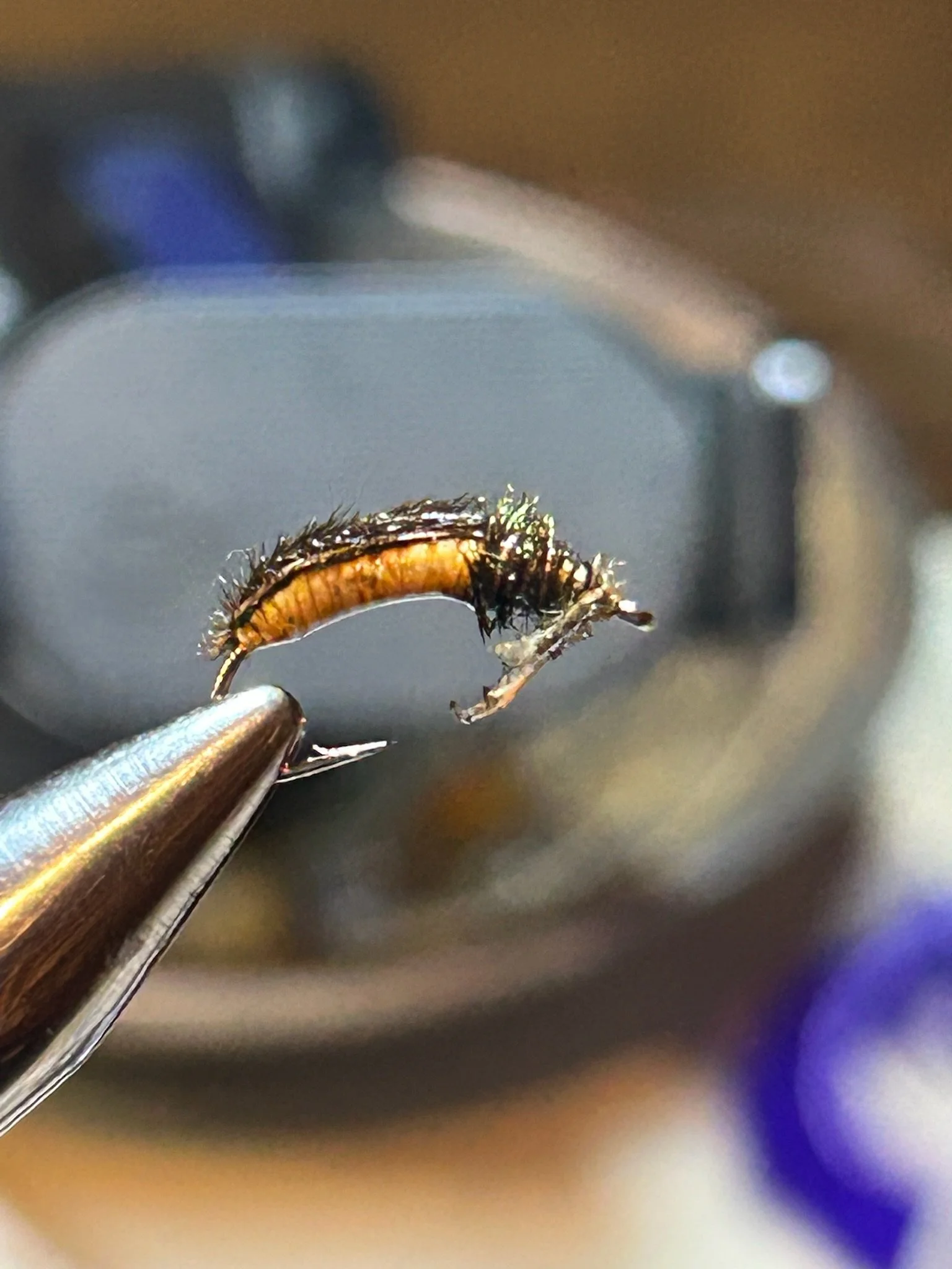Close-up of a fishing fly held with tweezers in front of a blurred background.
