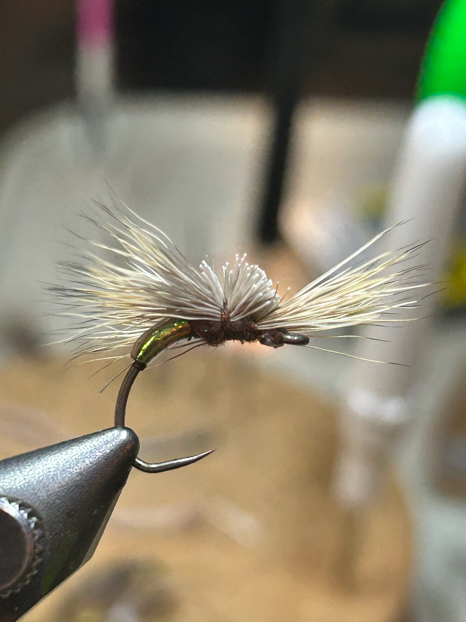 Close-up of a fishing fly with white and gray feathers, held by a metallic hook.