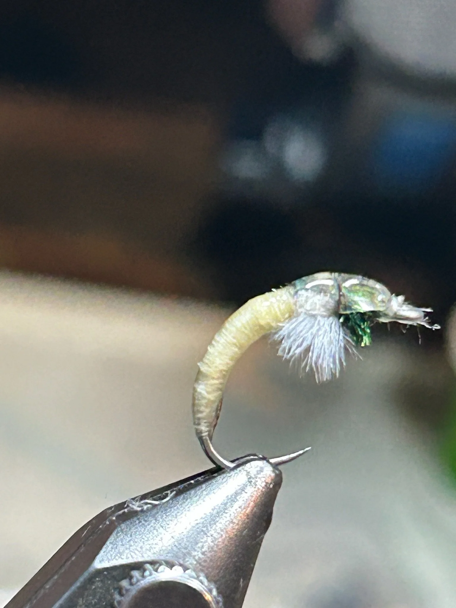 Close-up of a fishing hook with a small larva or pupa attached to the hook, held by a person's hand.