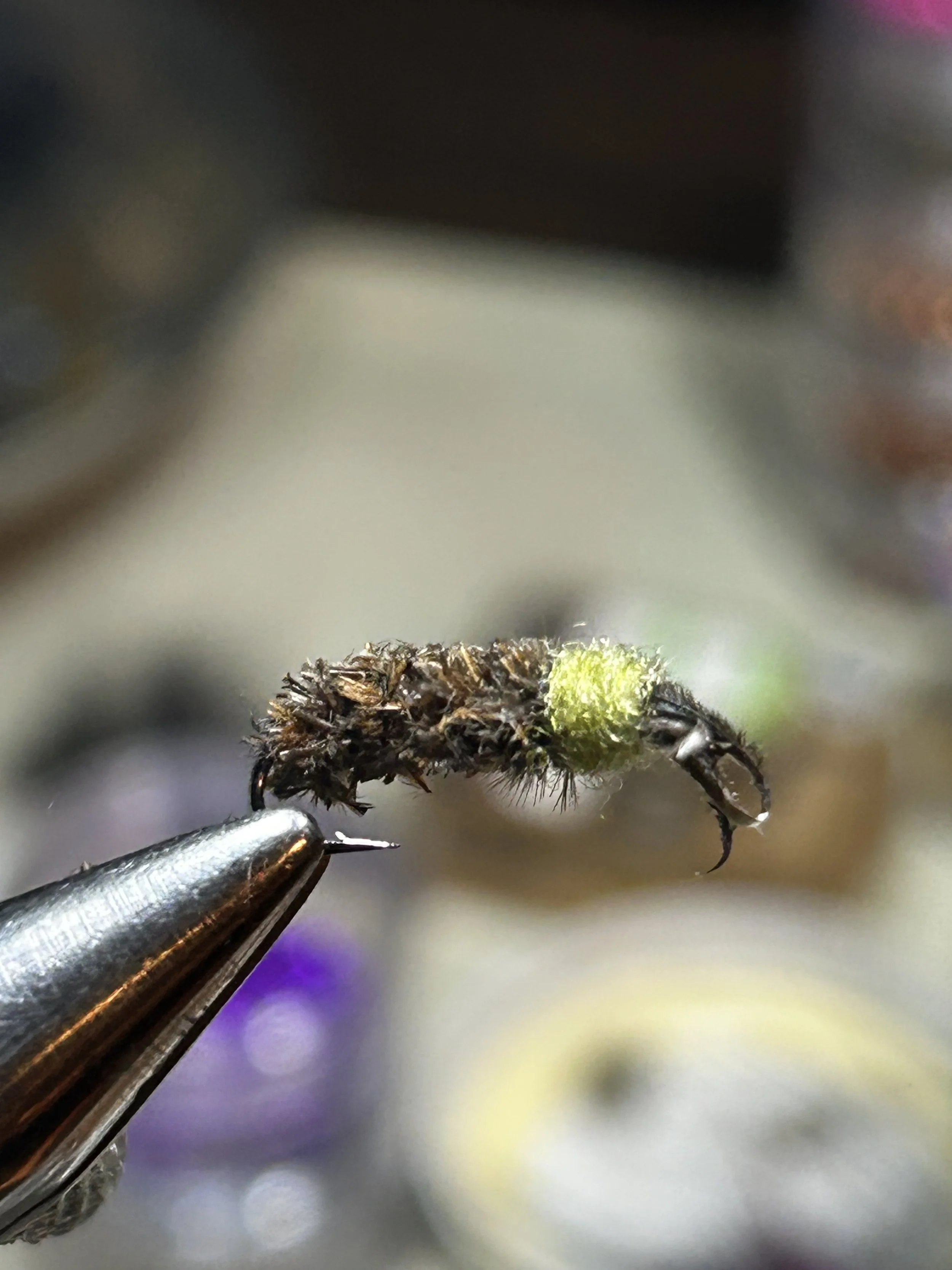 Cased Caddis
