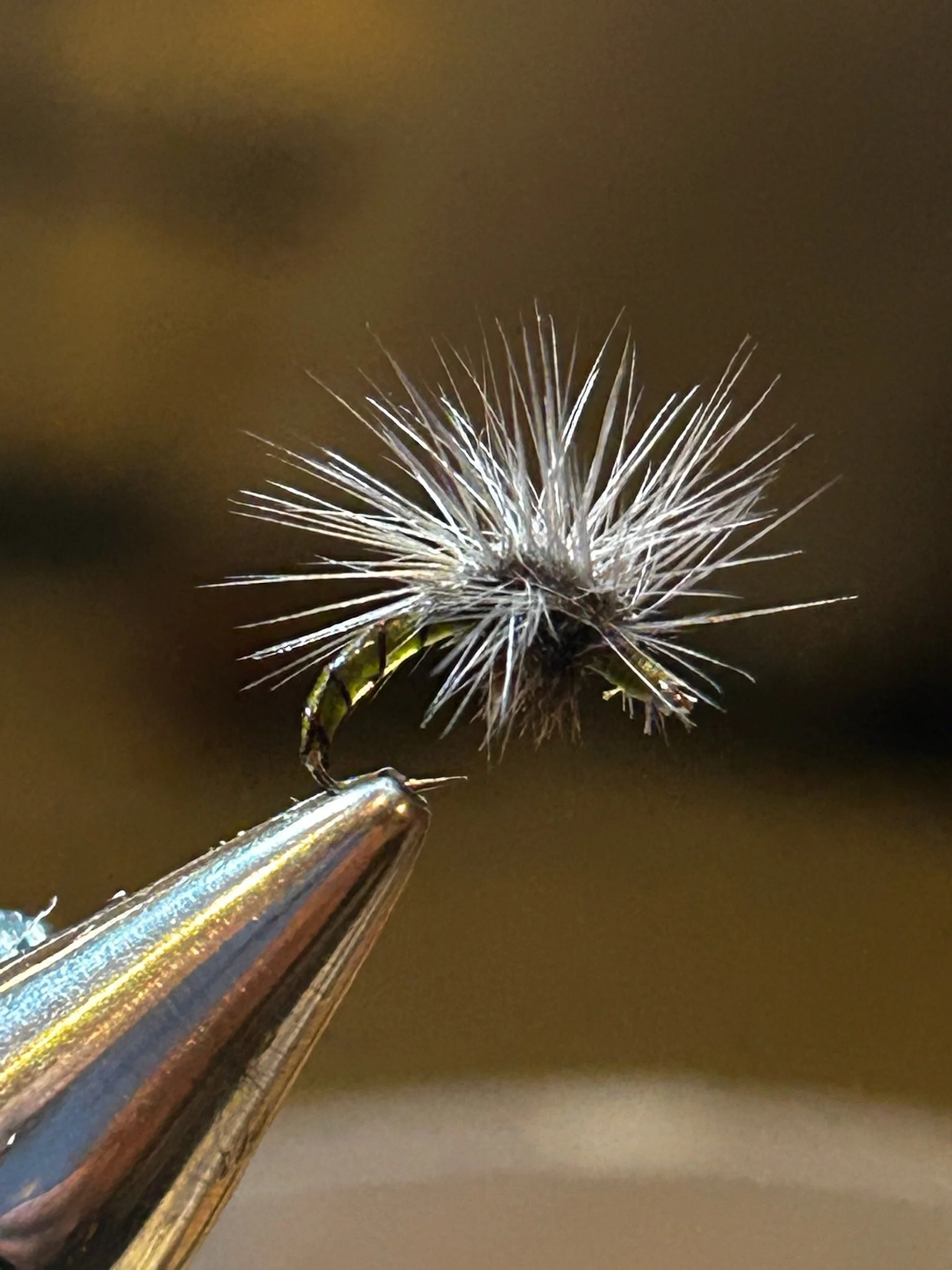 Close-up of a small, spiky insect or plant part held with metal tweezers against a blurred background.