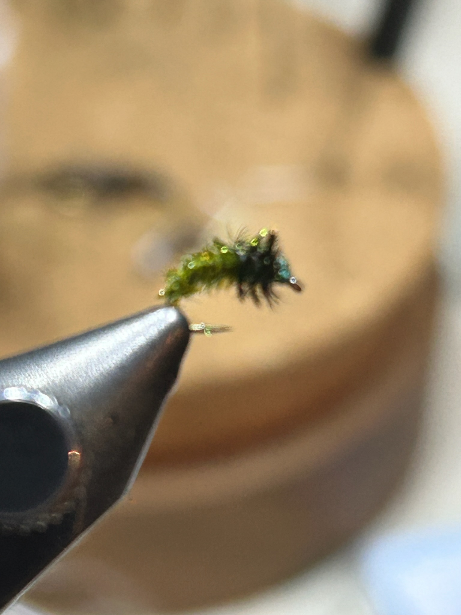 Close-up of a small green caterpillar with black markings, held on a metal pin.